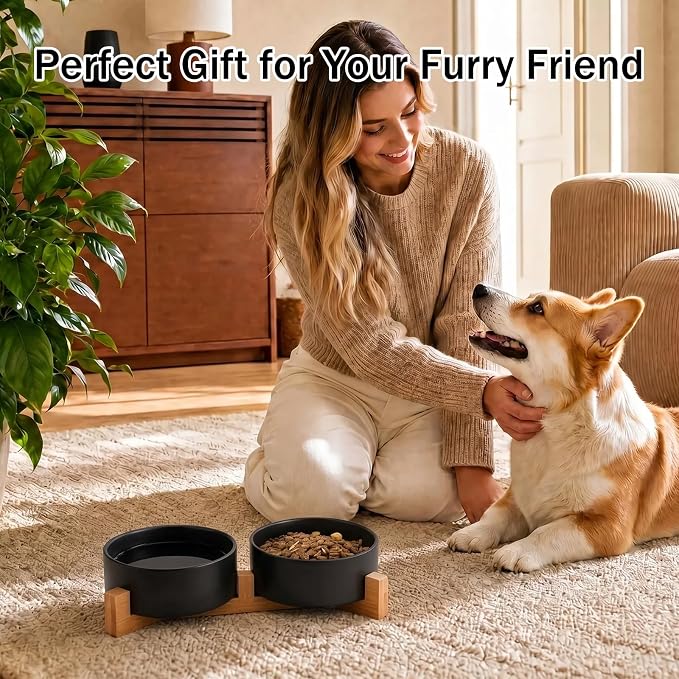MateeyLife Ceramic Dog and Cat Bowls with Stand, 2-Pack Food and Water Bowl Set - Non-Slip Pet Bowls for Small & Medium Size Dogs,28.7OZ(Black)