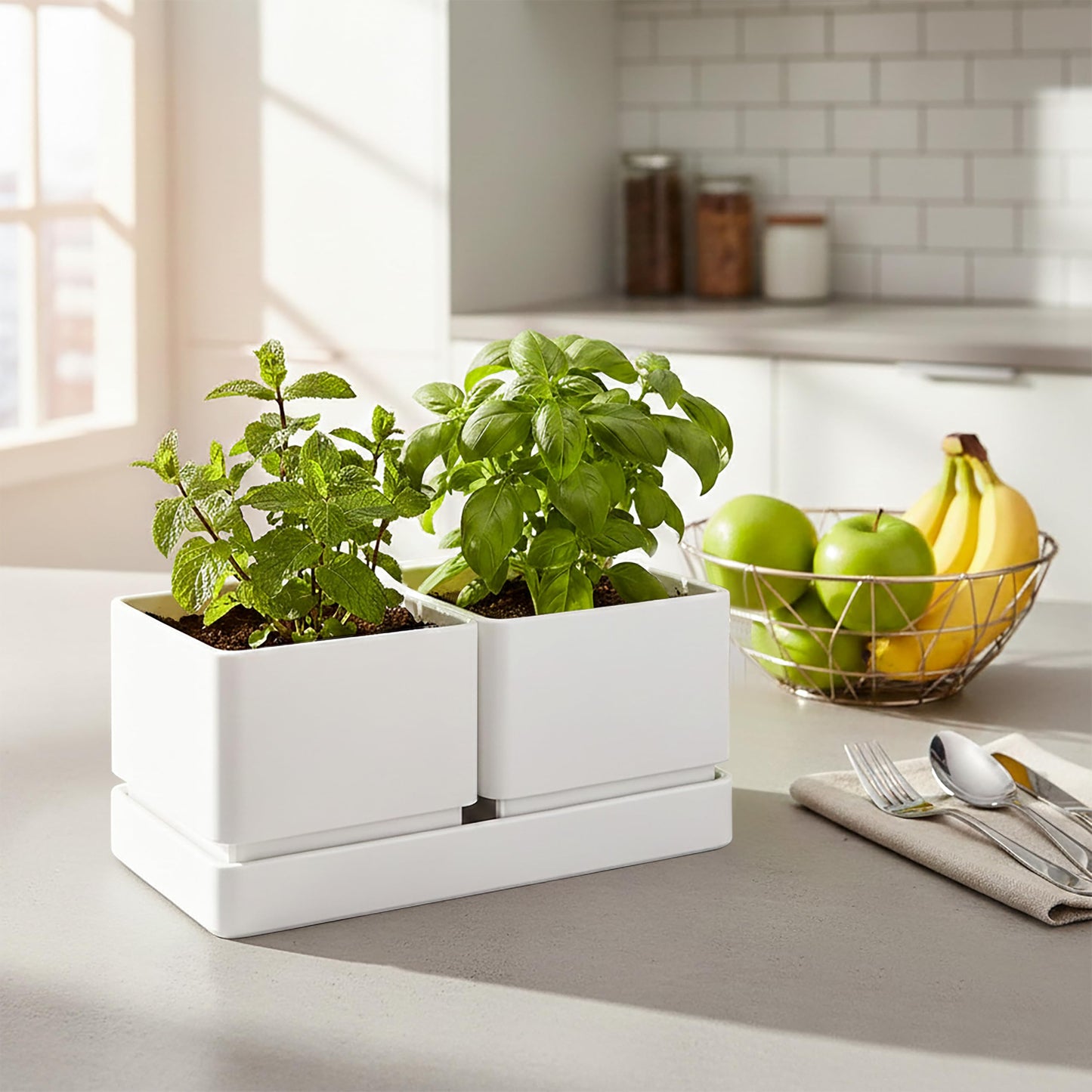 D'vine Dev Indoor Herb Garden Planter Set, Plastic Windowsill Plant Pots with Drainage and Saucer, Indoor Succulent Cactus Vegetable Pot for Balcony, Office, Garden, White, Set of 1, 76-Q-A-1