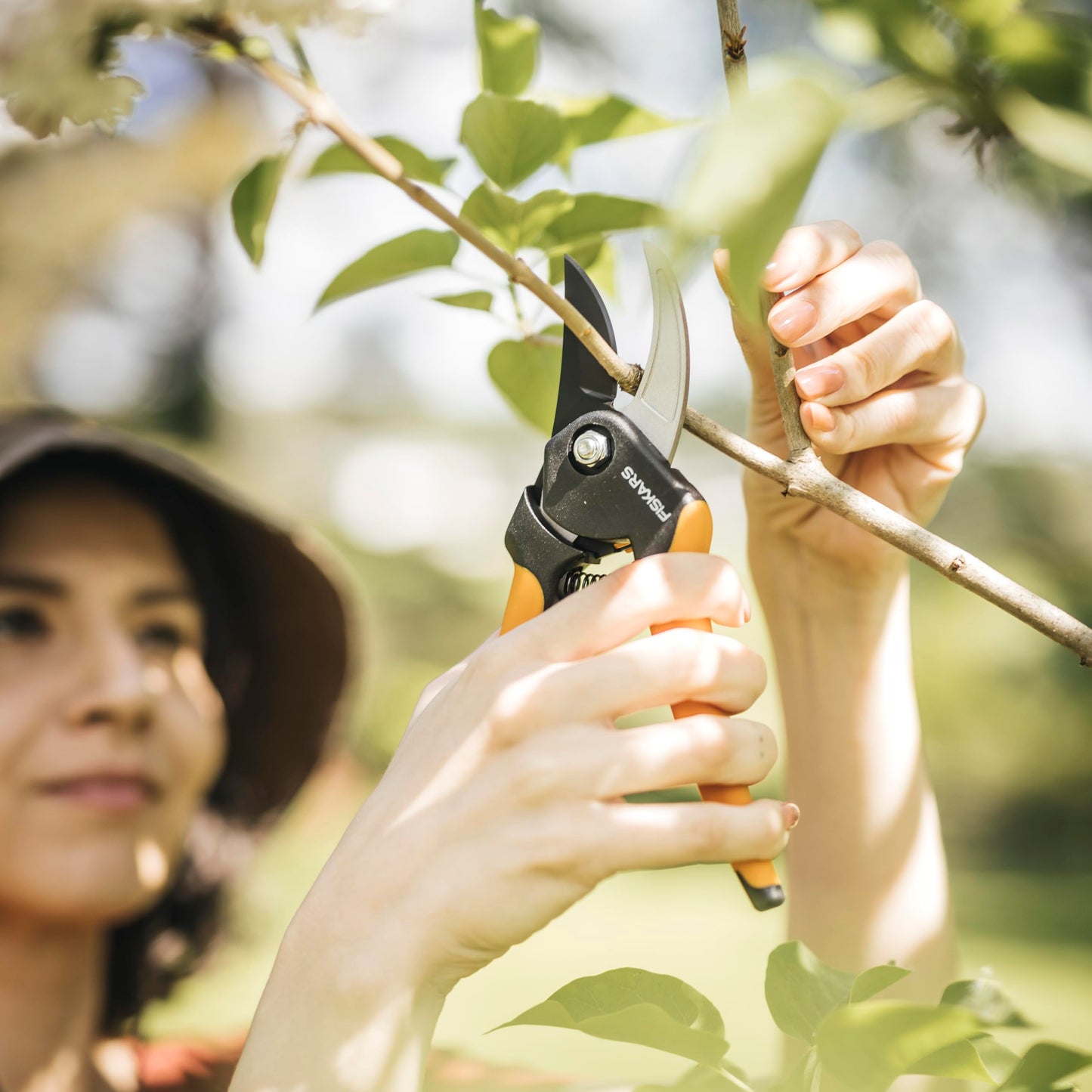 Fiskars SoftGrip Bypass Pruning Shears, 5/8” Cut Capacity Gardening Scissors for Right and Left-Handed Use, Steel Blade with Low Friction Coating, Rust Resistant Garden Clippers for Stems & Branches
