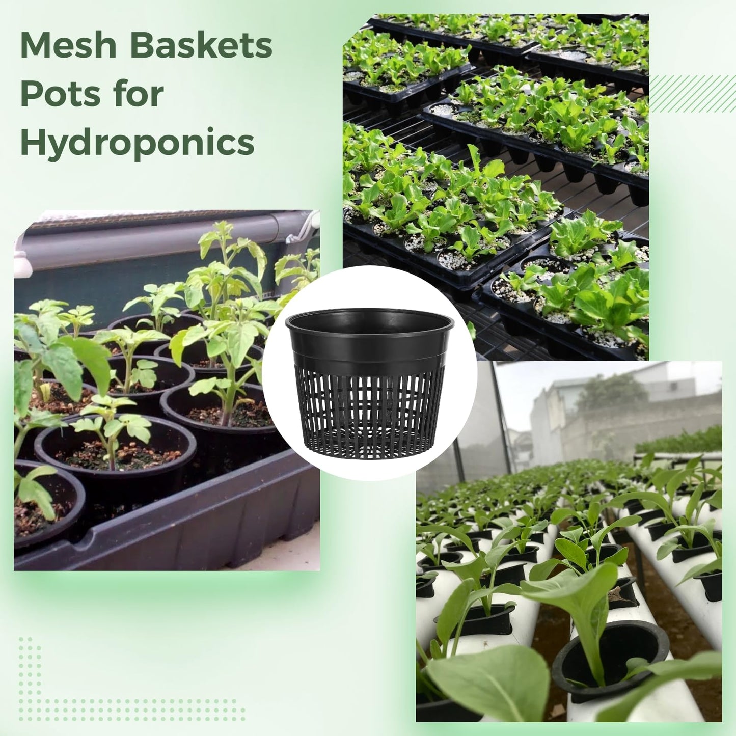 ZALIR 12 Pcs Net Pots for Hydroponics 6In - Plastic Root Control Pots with Drainage Holes, Ideal for Lily Plants, Lightweight and Stackable Design for Efficient Growth