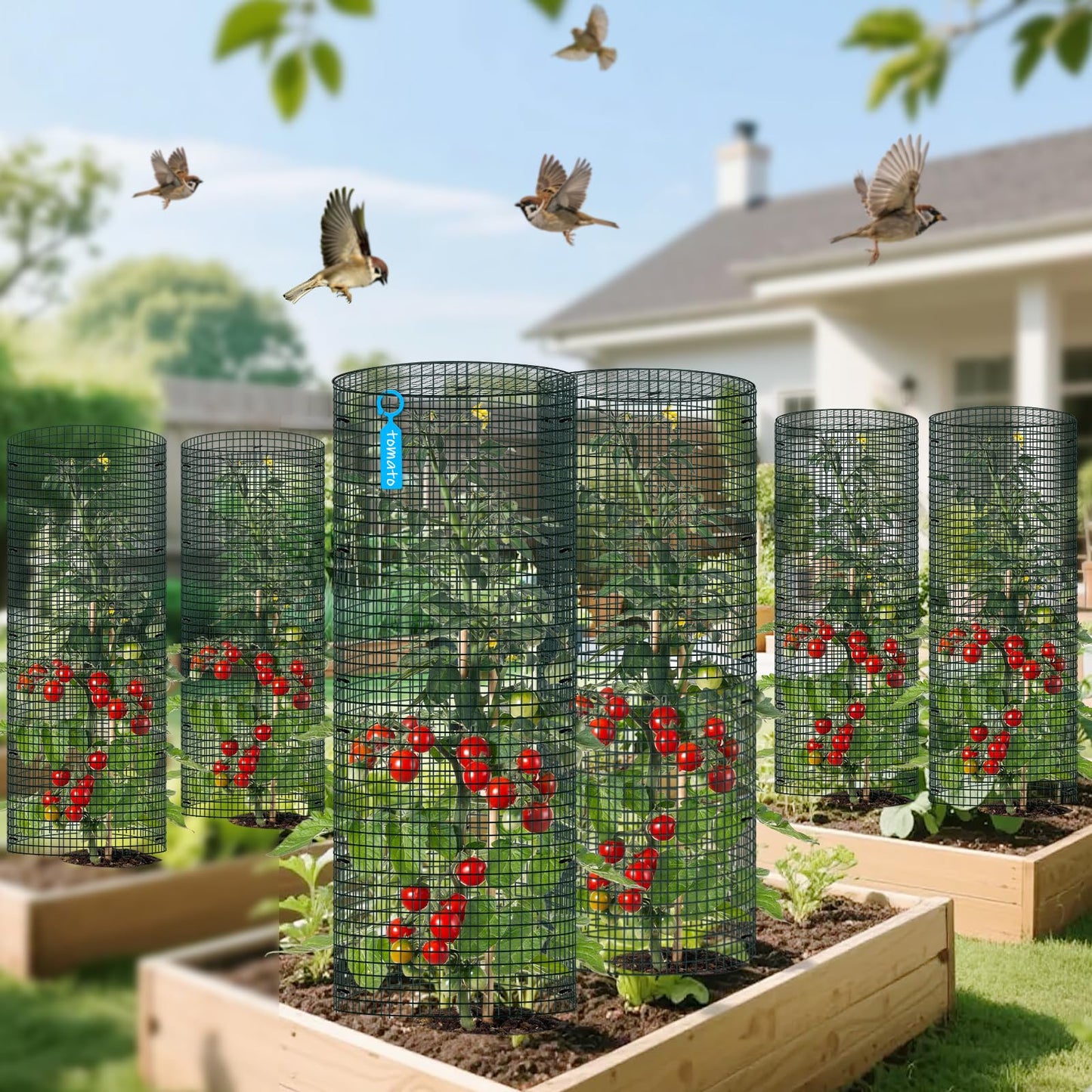 10 Pack Wire Plant Protector with Cover, 16"x12" Detachable Metal Plant Protectors Mesh, Garden Plant Protectors for Shrubs Flowers Vegetables to Keep Rabbit & Chicken Animals Out