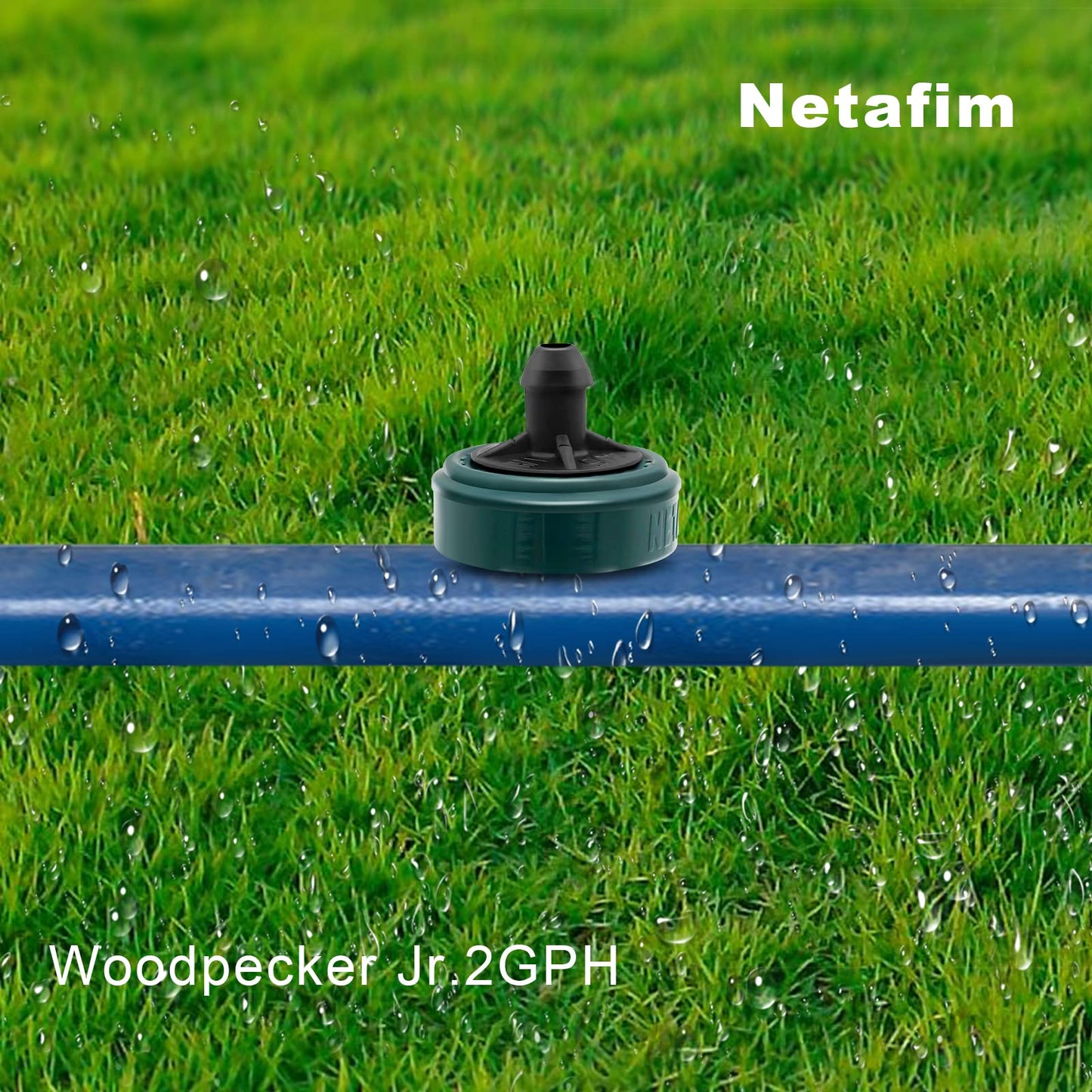 DripGrows Netafim 2 GPH Woodpecker Jr Pressure Compensating Drip Emitters (250)