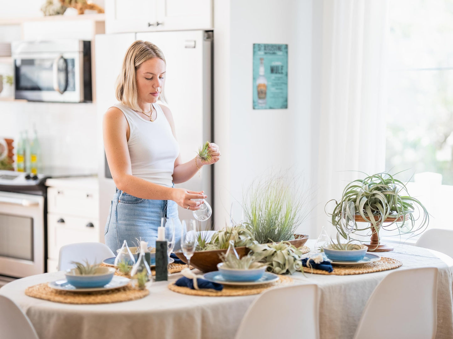 White Ceramic Wall Planter Assorted Air Plants - Live Tillandsia in Holder Succulents Vase - Home & Garden Decor - Easy Care (3 Small Planters with 3 Air Plants)
