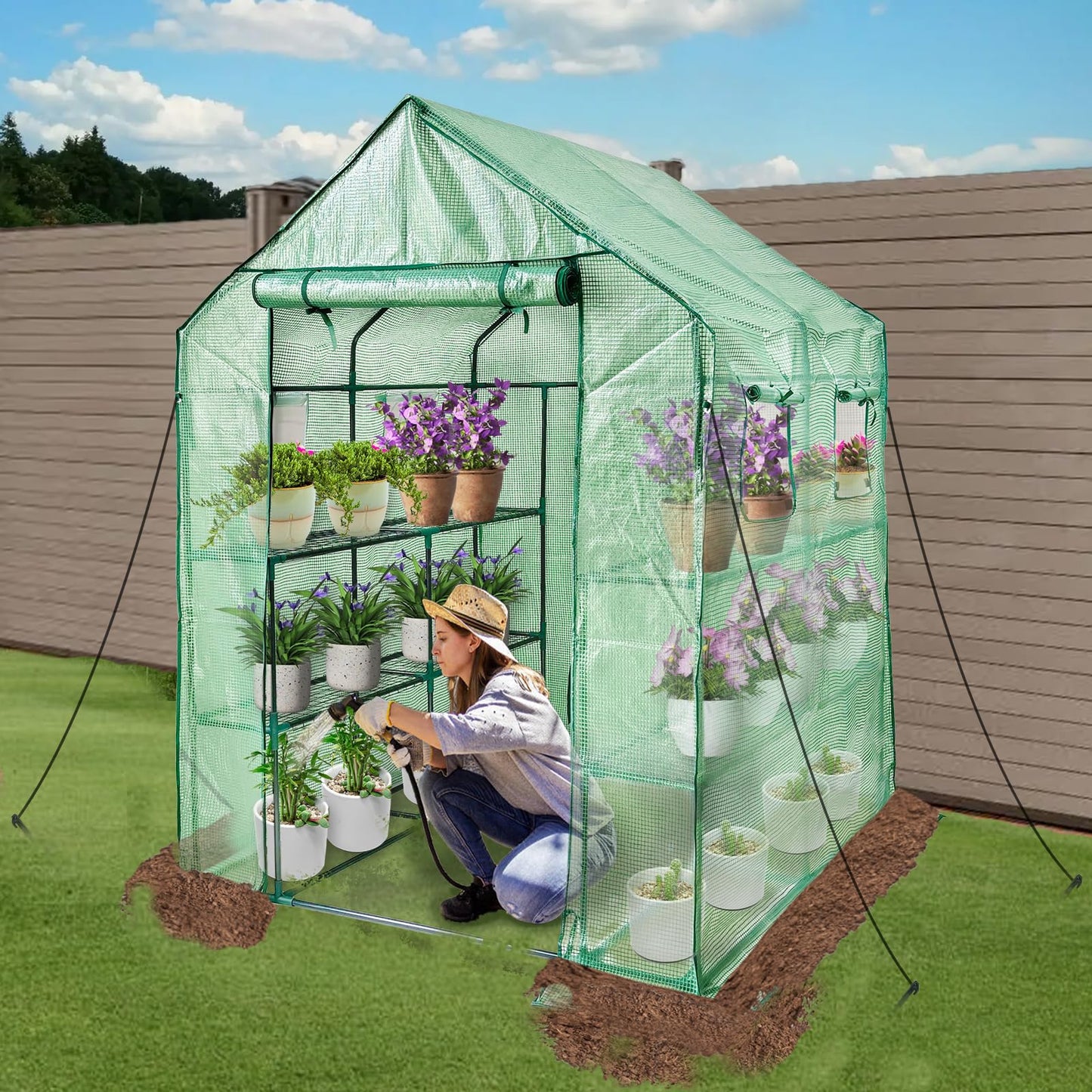 Walk in Greenhouse with Shelves,Plastic Growhouse Frame for Garden,12 Tiers Green House with Reinforced PE Cover and 4 Windows,56" L x 56" W x 77" H,for Indoor Outdoor Seeding and Plant Growing