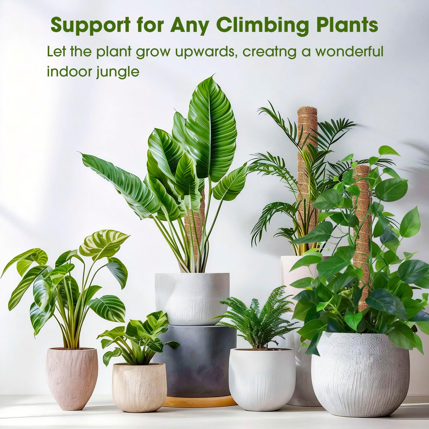 4 Pack 20 Inch Moss Poles, Stackable Moss Pole Monstera Plant Support, 66 Inch Tall Plant Stakes for Climbing Plants Indoor, Coir Plant Support Stick Stand for Potted Plants, Pothos, Philodendron