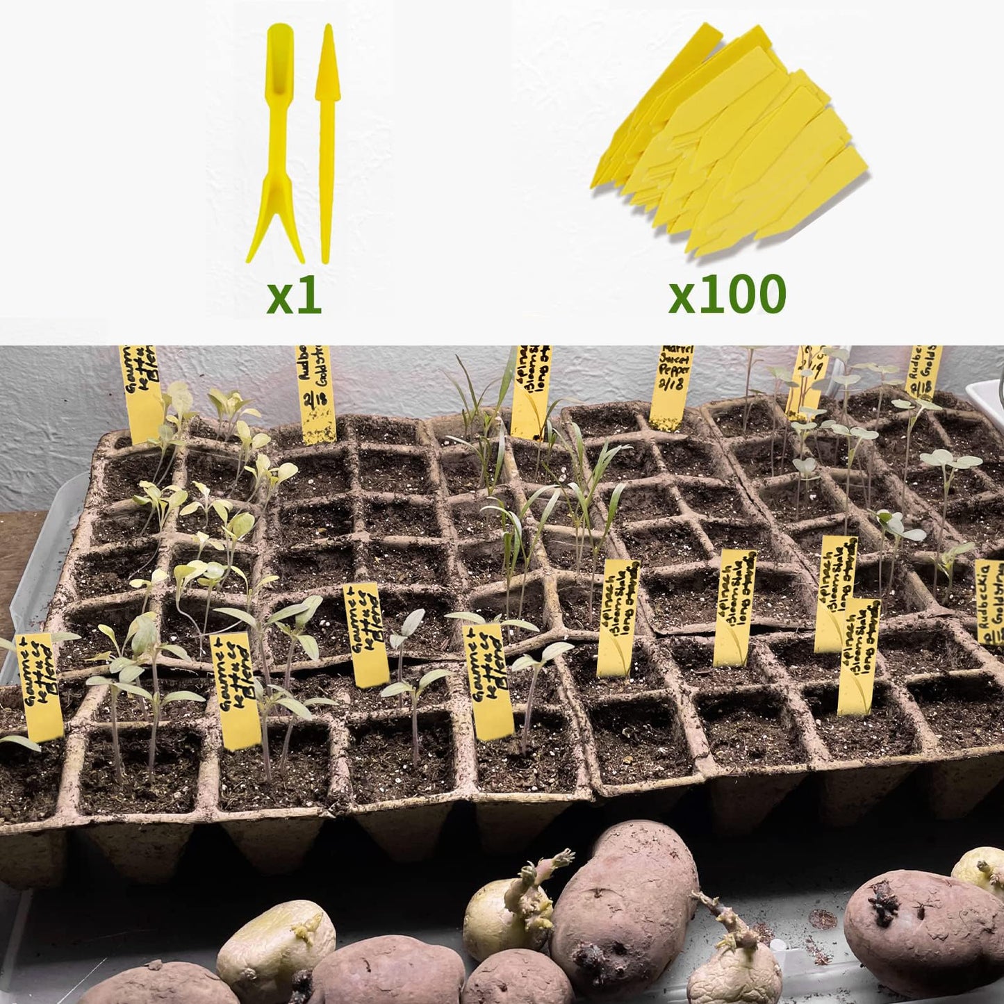 SYITCUN Seed Starter Tray 100 Cells, Biodegradable Peat Pots for Seedlings, 10 Pack 1.8" Square Pulp Nursery Cups with 100 Plant Labels and 2 Transplant Tools for Vegetable Herb
