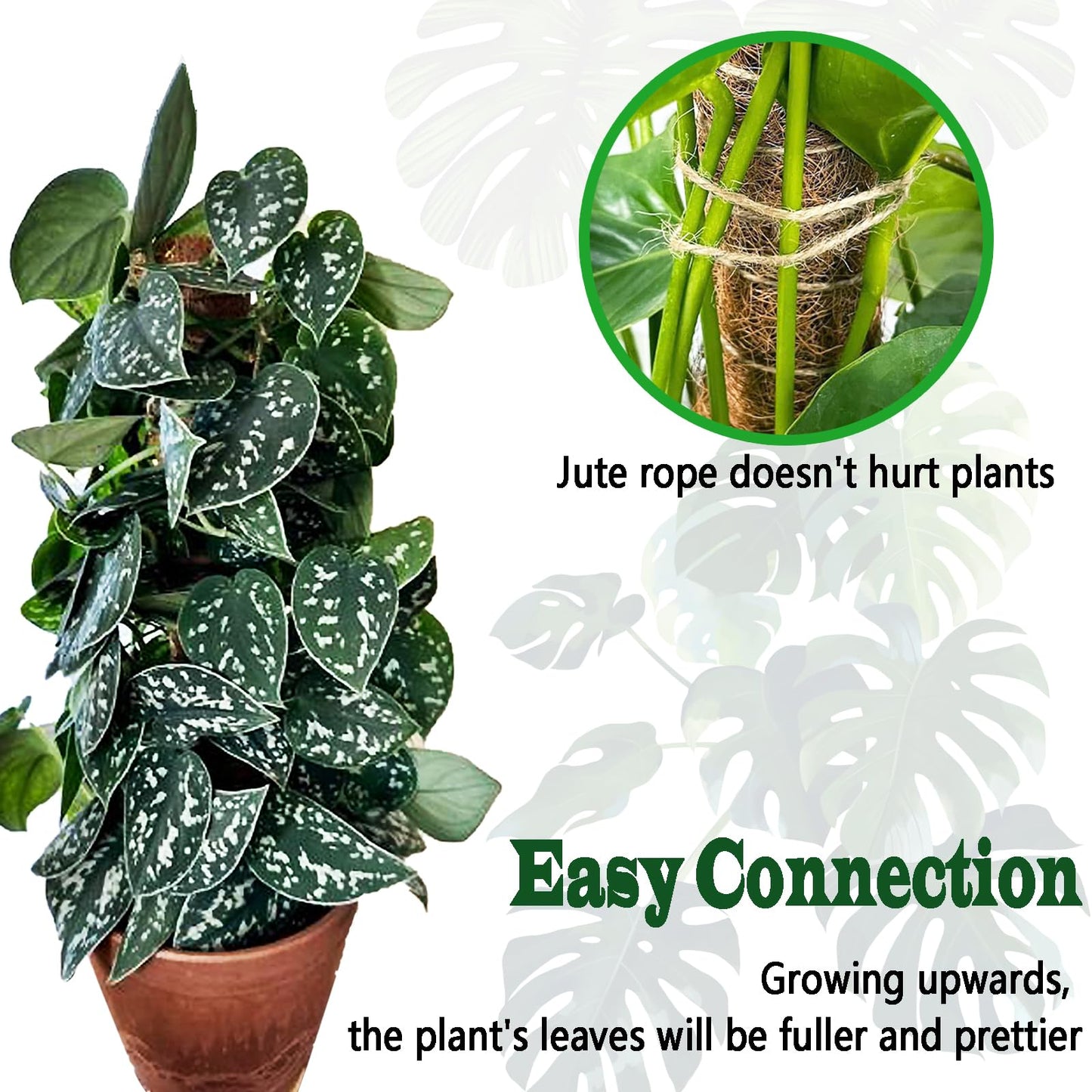 2 Pack 21 Inch Moss Poles, Stackable Moss Pole for Plants Monstera, 37 Inch Tall Moss Poles for Climbing Plants Indoor, Coir Totem Plant Support Stakes Stand for Potted Plants, Pothos