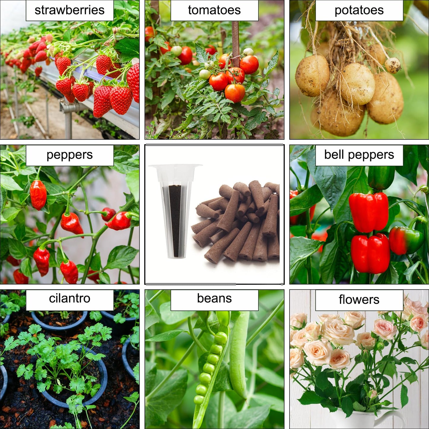 150P Grow Sponges for Hydroponics, Windspeed Grow Anything Seed Pod kit Include 50 Grow Sponges, 24 Grow Baskets, 24 Grow Domes, 50 Pod Labels, 2 Tweezers