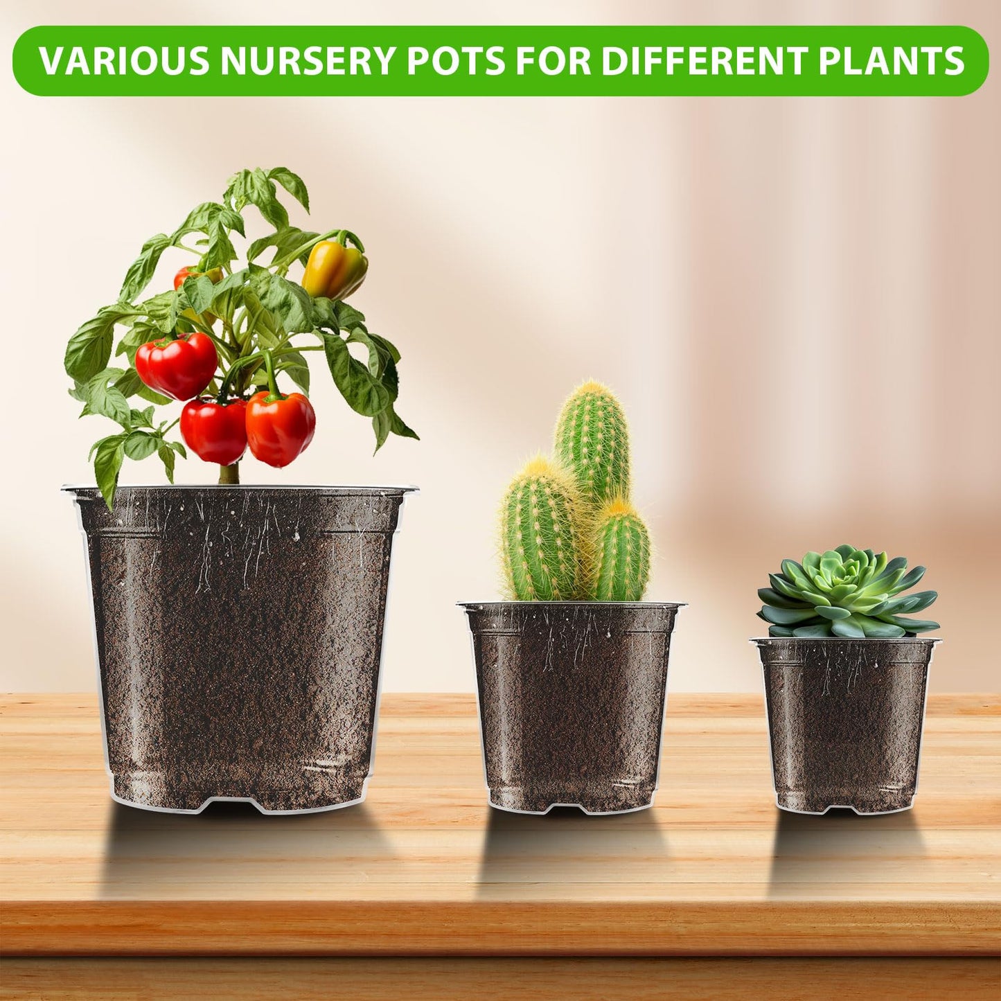auriikoop Clear Nursery Pots for Plants, 3.5/4/5 inch Plastic Plant Flower Pot with Drainage Holes High Transparency Seedling Planter for Seed Starter (36PCS)