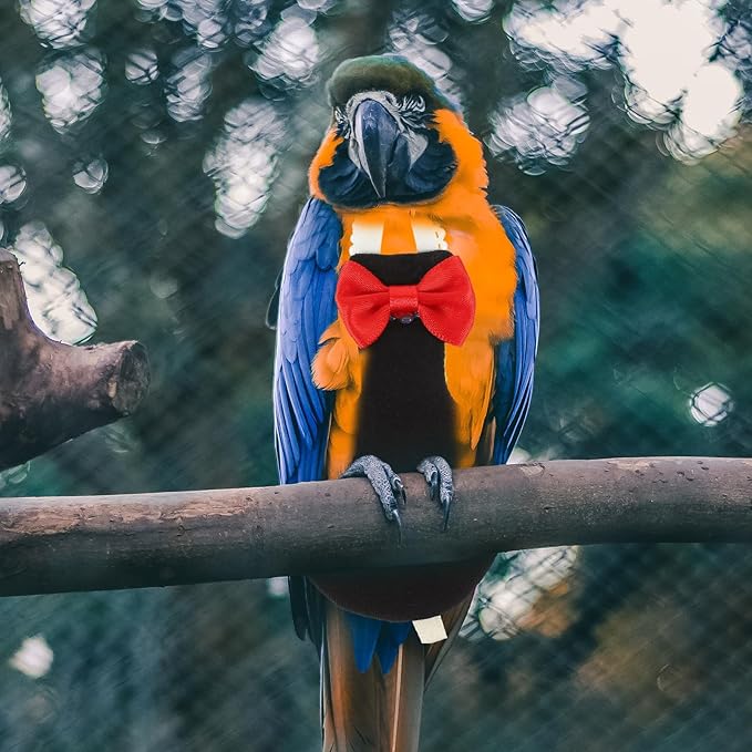 POPETPOP Washable Bird Diaper Suit Reusable Parrot Flight Clothes with Bow Adjustable Lightweight Breathable Nappies for Budgie Parakeet Pigeon
