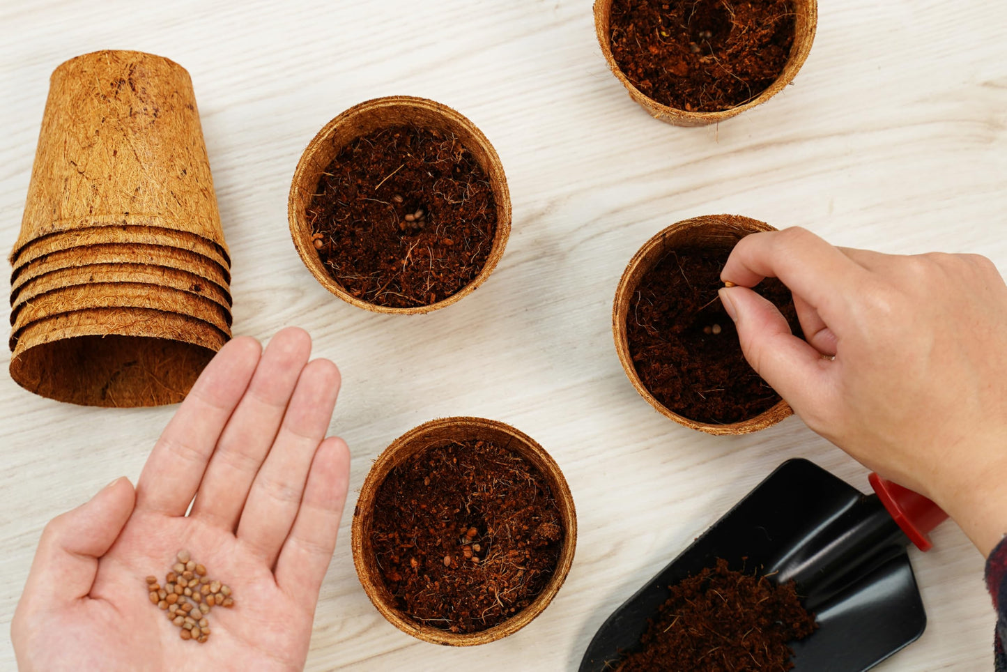 PlantBest 3.25 Inch Coconut Coir Biodegradable Pots – 22 Pack, Plantable Seed Starter Pots, Peat-Free, Sustainable Growing Containers