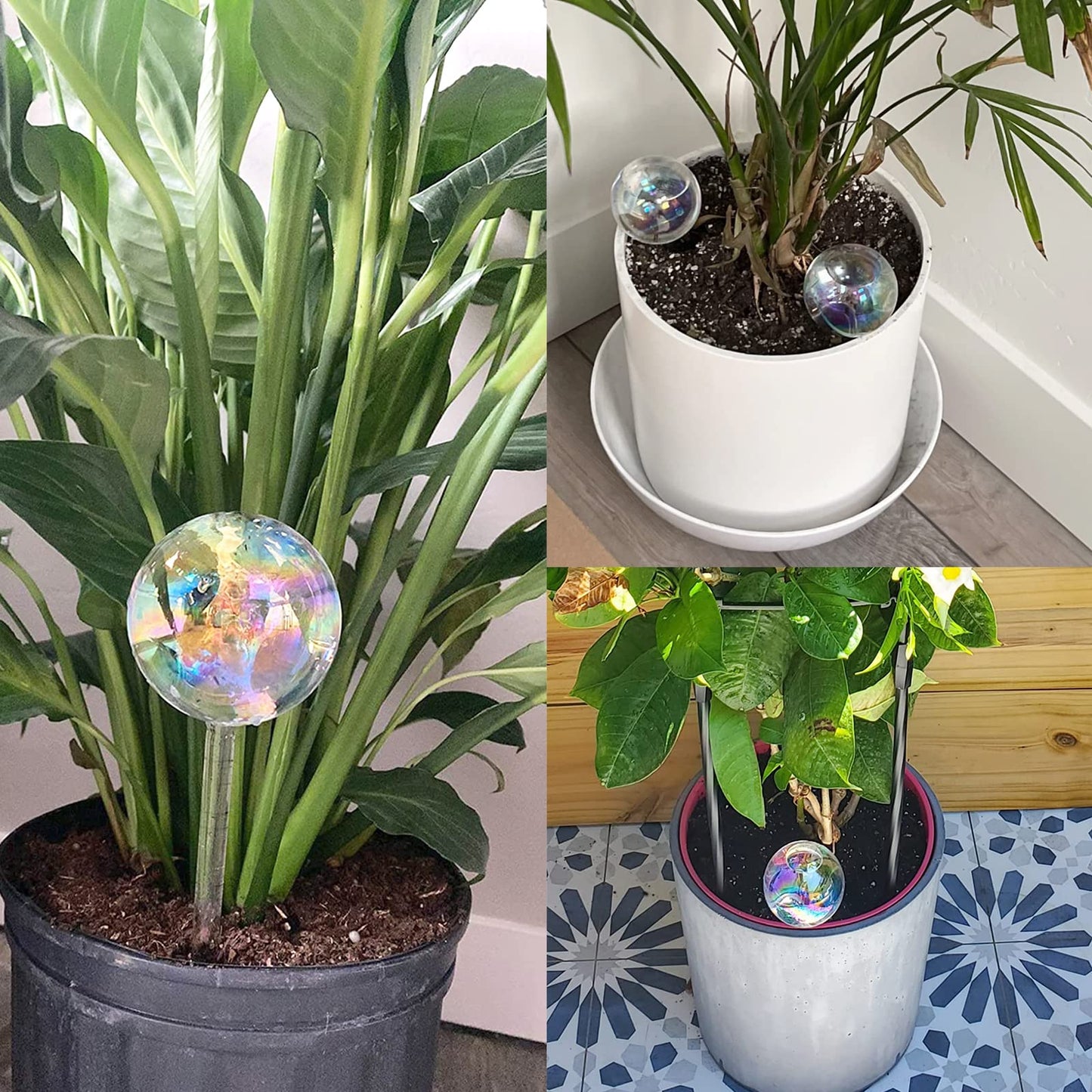 Pynqdfu 3 Pcs Plant Watering Globes,Self Watering Planter Insert Plant Accessories,Colorful Glass Plant Watering Devices for Indoor Plants