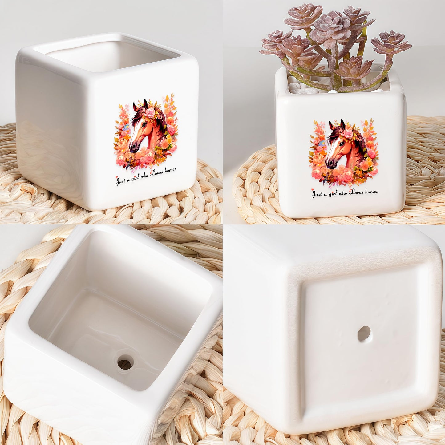 BJDAMAI Horse Succulent Planter Flower Plant Pot Small, Gifts for Women Teens Girls Kids, Horse Lovers Themed Stuff Accessories Things Decor Merch, Home Office Table Desk Decoration!
