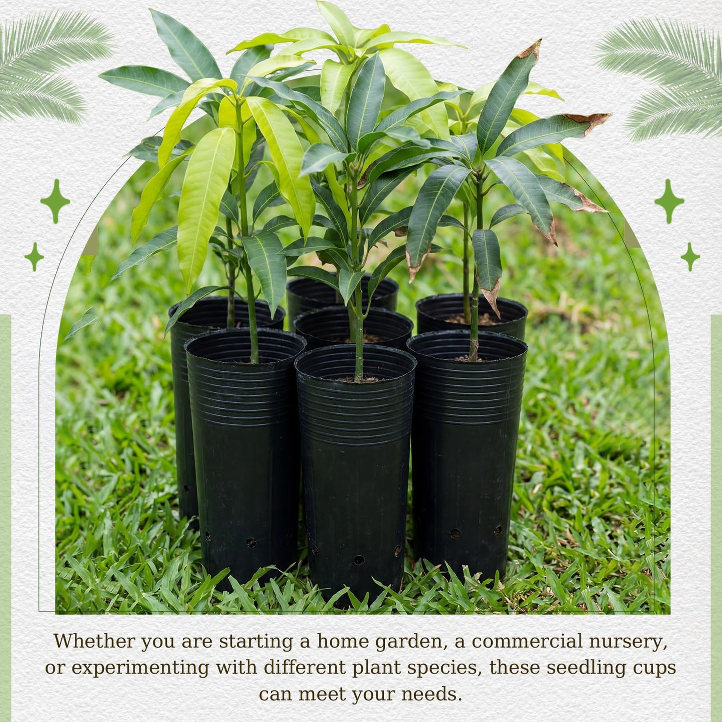 Ferrochef 100 Pack Tall Tree Pot 9.8'' x 4.7'', Black Plastic Deep Nursery Pots, Soft Deep Seedling Pots for Seed Starting, Plant Starter Cups with Drainage Holes for Flowers, Cuttings Transplanting