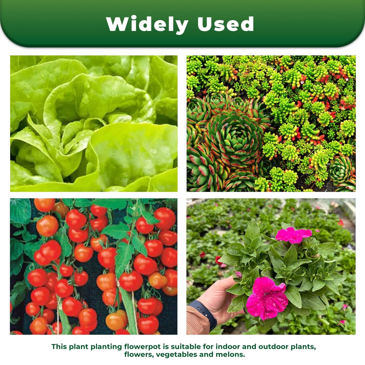 LiGuVCY Plant Pots Flower Pot 10-Pack 2 Gallon Planter Nursery Pot Garden Seedling Planters Containers Plastic Injection Molded Pots with Drainage Holes for Outdoor Indoor Plants Vegetables, Black