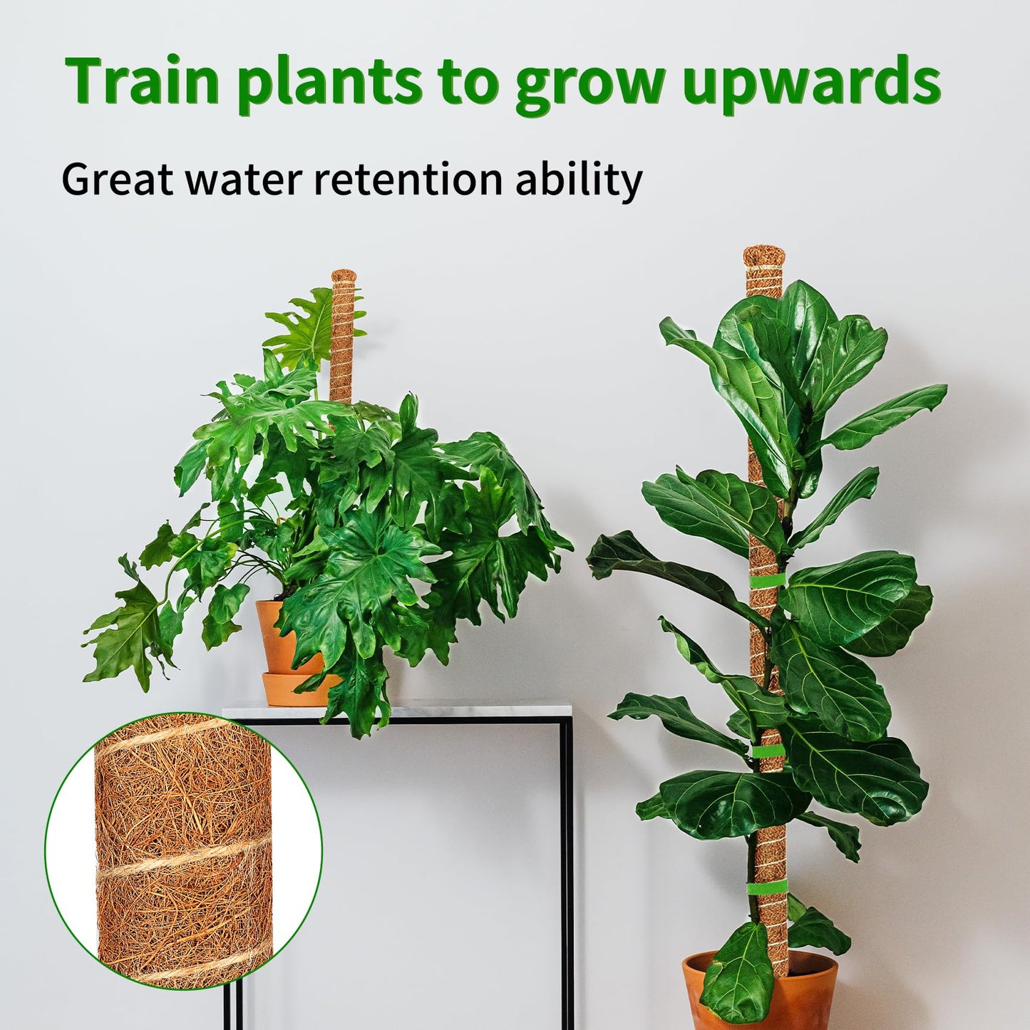 Dimpoo 2 Pack 60 Inch Moss Pole Monstera Plant Support, Coir Moss Poles for Climbing Indoor Plants, Bendable Plant Stake Trellis for Potted Plant, Pothos, Philodendron