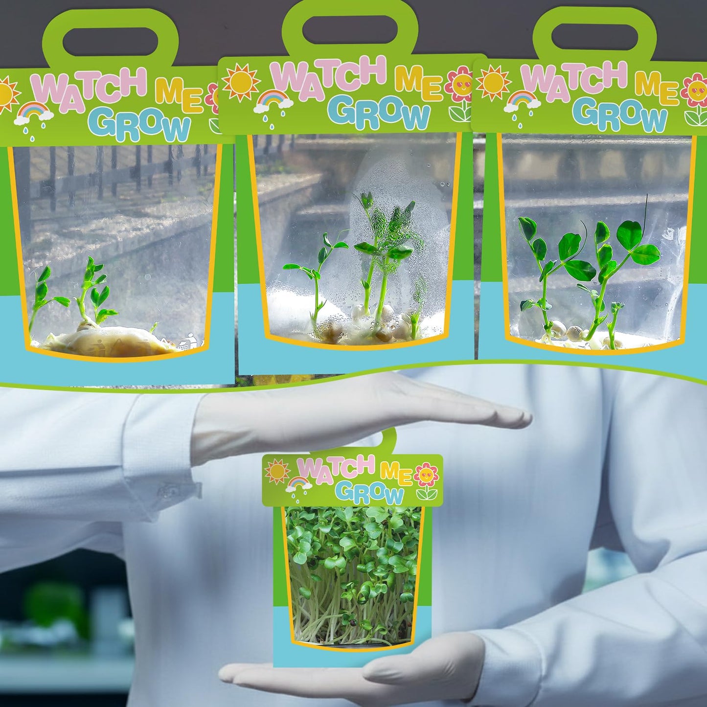 Harloon 36 Clear Vinyl Pocket See Through Greenhouses Set with Cardstock Clear Greenhouse Plastic Teaching Science Craft Supplies for Science Project Themed Birthday Party Greenhouse