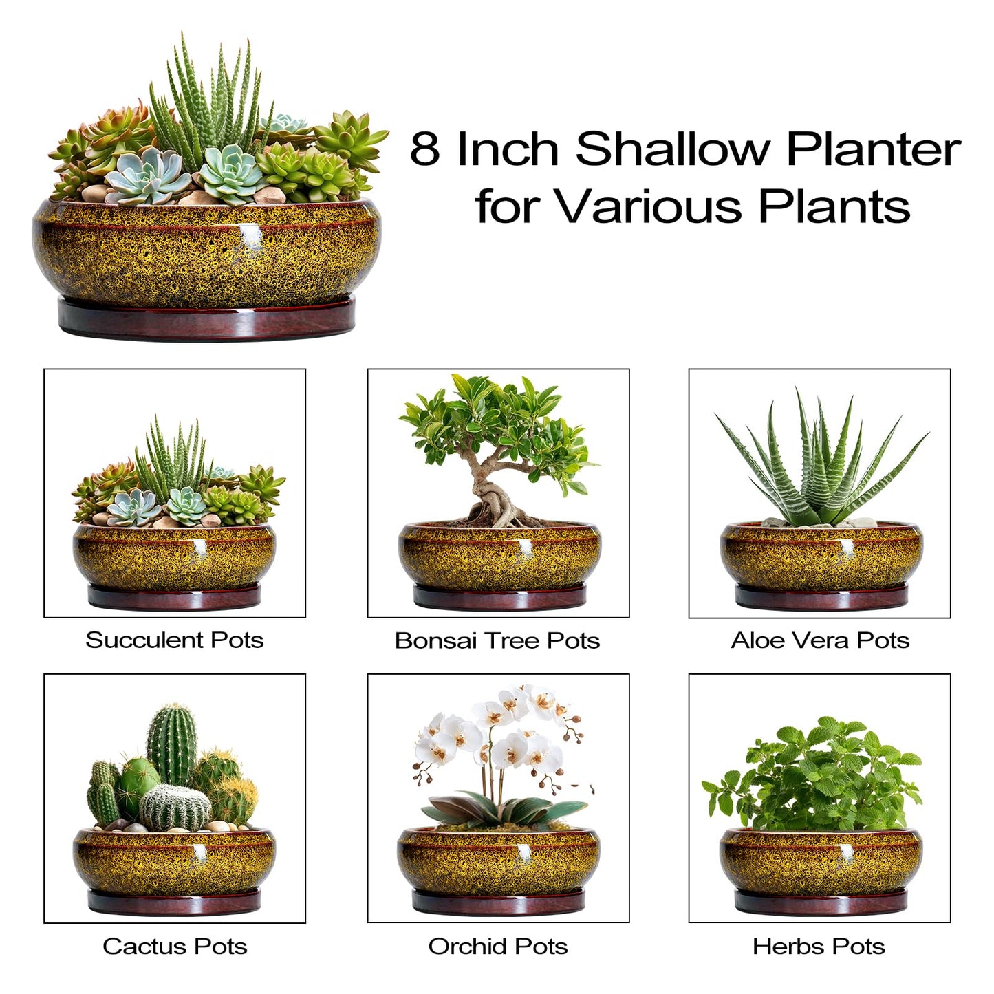 EPFamily Succulent Planters 8 Inch - Ceramic Bonsai Pots with Drainage Hole and Tray, Shallow Plant Pot Indoor Outdoor, Round Succulent Pots, Planter Bowl, Porch Decor, Housewarming Gifts, Yellow