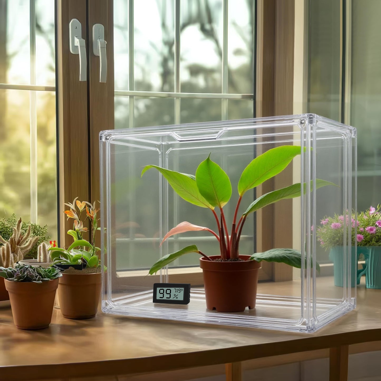 HBlife Mini Greenhouse for Indoor, Clear Stackable Green House with Magnetic Waterproof Door for Small Plants Nursery Germination and Display, Tabletop Portable Greenhouse, 14.1x8.6x10.6 Inch (2 Pack)