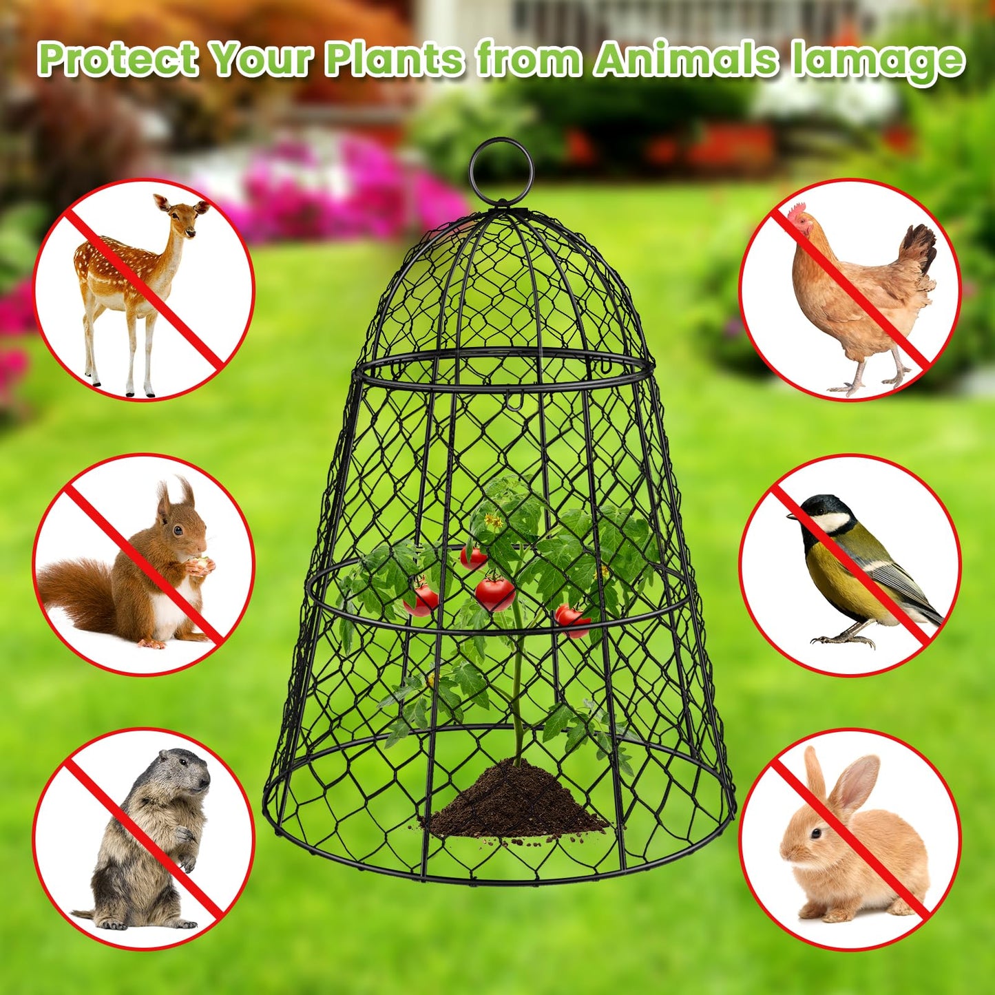 6 Pcs Garden Cloches for Plants, Metal Extra Large Chicken Wire Cloche Plant Covers, Garden Netting Plant Protectors from Animals to Keep Squirrel, Rabbit, Chicken and Bird Out 17" H x 13" D Black