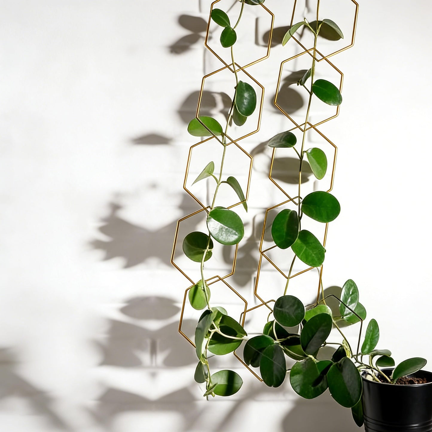 Wall Trellis Indoor, Garden Trellis Plant Accessories Sturdy Wall Trellis for Indoor Climbing Plants, Practical Plant Accessories with Stable Support for Pothos, Ivy. (Gold)