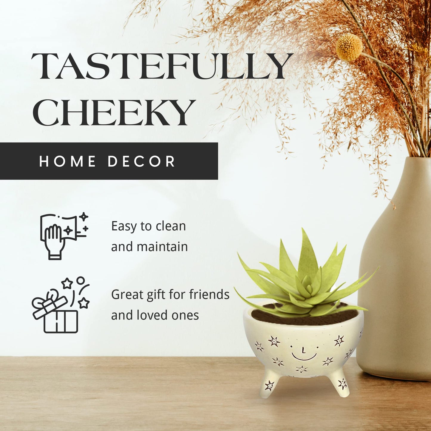 SLS SUPPLY FLORA Facepot Ceramic Planter with a Smiling Face, Succulent and Flower Pot for Home and Office, Cute Plant Vase for Indoor Gardening, 5.63 (W) x 3.75 (H) inches