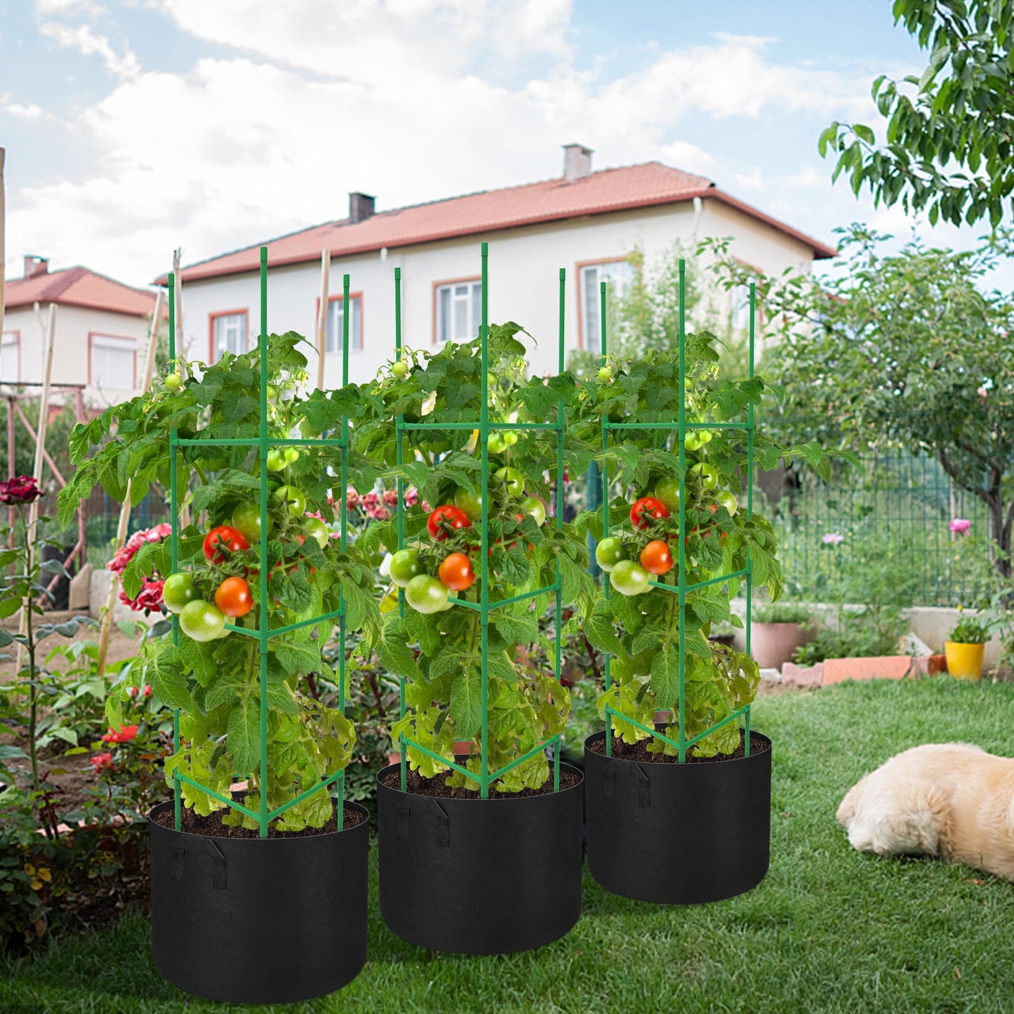 4 Packs 47 x 12 Inch Garden Tomato Cages with Grow Bags- Triangle Plant Support Trellis Assembled with Planter Bags- Garden Cucumber Vegetables Frames for Vertical Climbing Plants