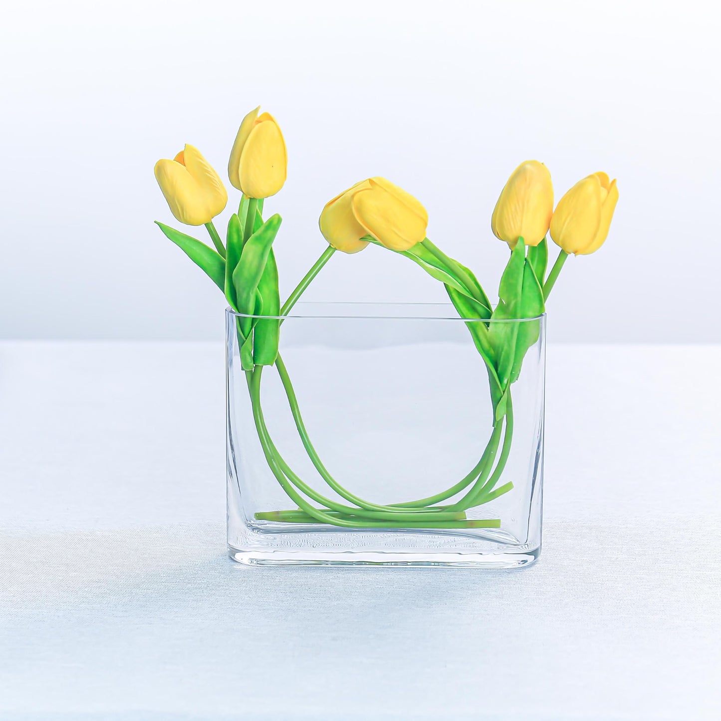 CYS EXCEL Glass Book Vase (H:6" Open:7"x2") Round Edge Oval Flower Vase Rectangular Wedding Centerpiece