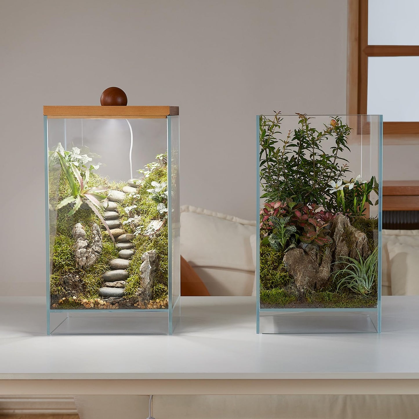 13.7H+7.8W Desktop Glass Plant Terrarium with Light, Large Propagation Station for Succulent, Moss, Miniature Gardening Landscape, Betta Fish Tank