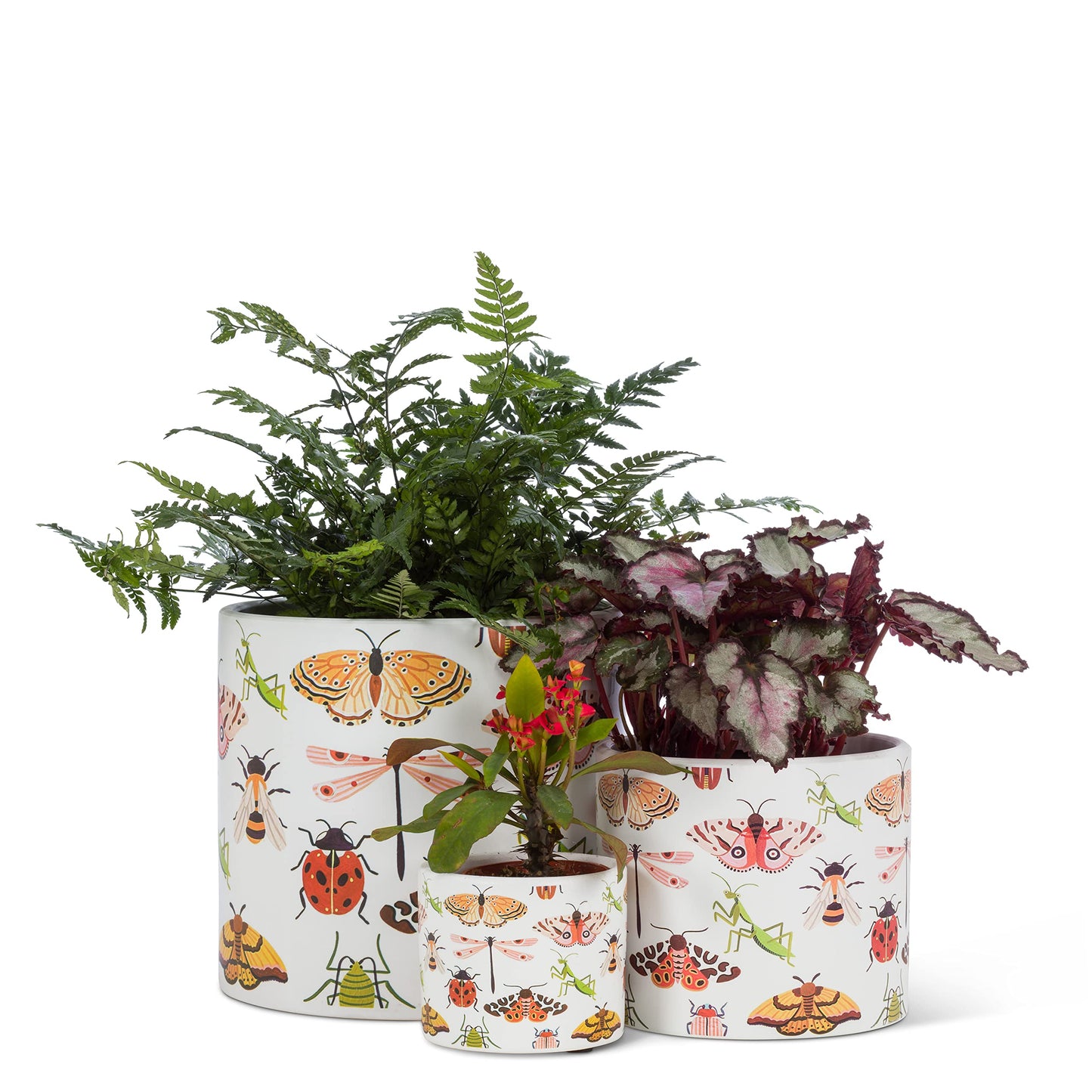 Abbott Collection Large Allover Bugs Planter-6.5" D