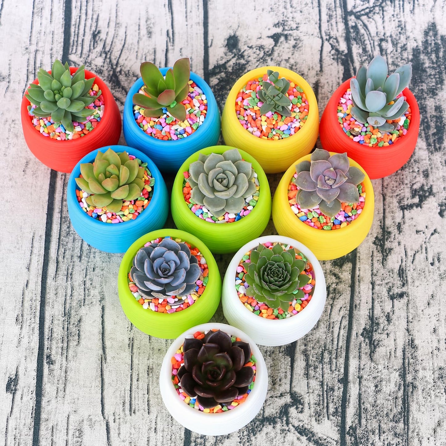 Elsjoy 30 Pack Mini Succulent Pot, 3 Inch Plastic Seed Starter Pots Small Cute Succulent Planter with Drainage for Indoor & Outdoor Plants, Home Decor, Free Assembly