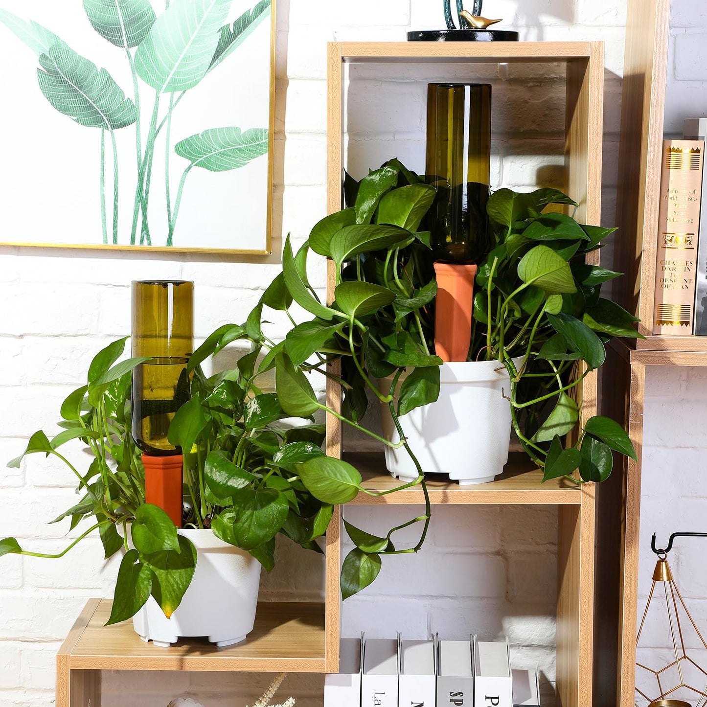SiliFine 6 Sets Plant Watering Devices Include Terracotta Self Watering Spikes and 26 oz Plastic Bottles, Slow Release Vacation Insert Automatic Plant Waterer Device (Clear Green and Terracotta)