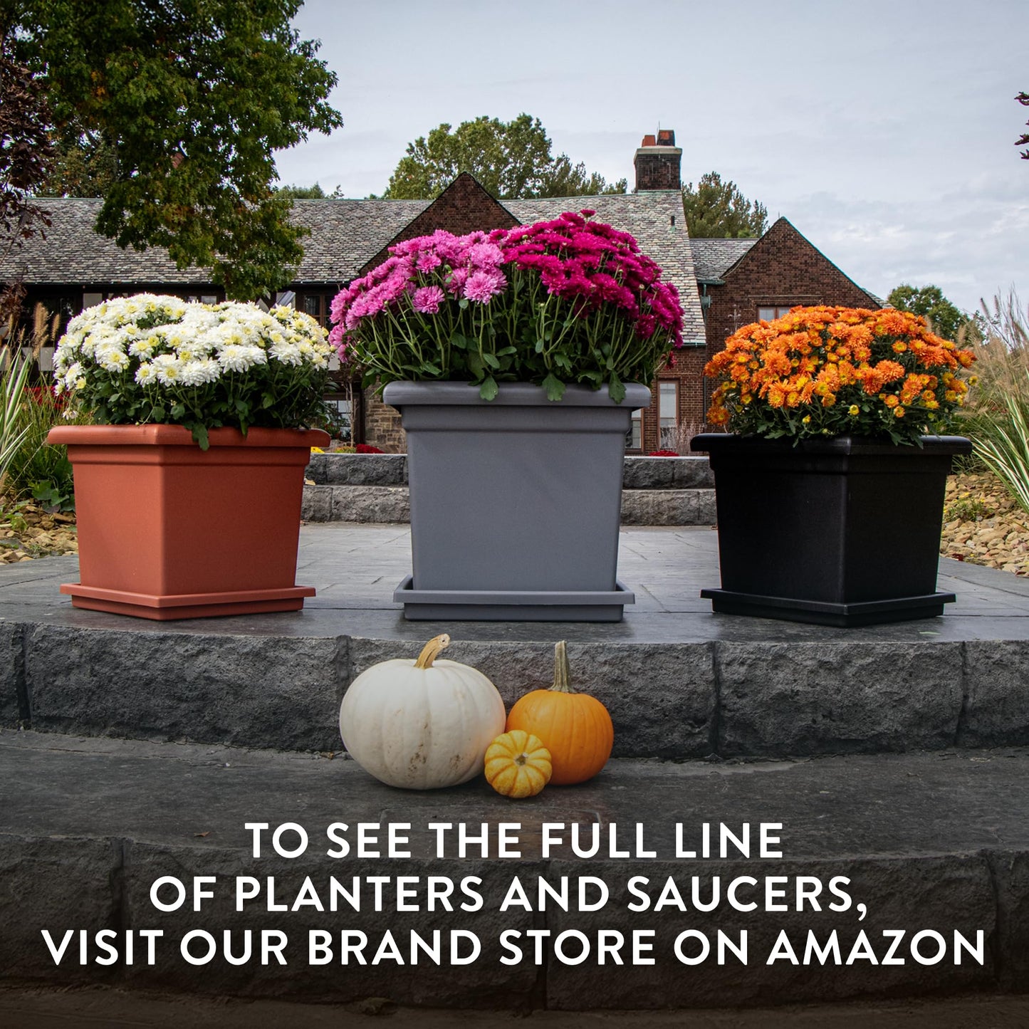 Accent Square Planter - The HC Companies 15.5-Inch Large Square Flower Box Planter for Indoor & Outdoor Flowers/Plants, Pairs w/ 15.5" Clay Accent Saucer SRO15500E35 Clay (ROS15500E35)