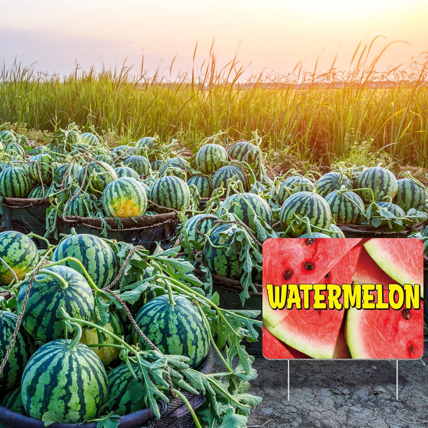 Novabright 3 Pack Watermelon Yard Signs 15.7" x 11.8" Double-sided Watermelon Yard Signs with Stakes Weatherproof Stand Sign for Lawn Outdoor Fruit Party Decorations Stand Supplies Business