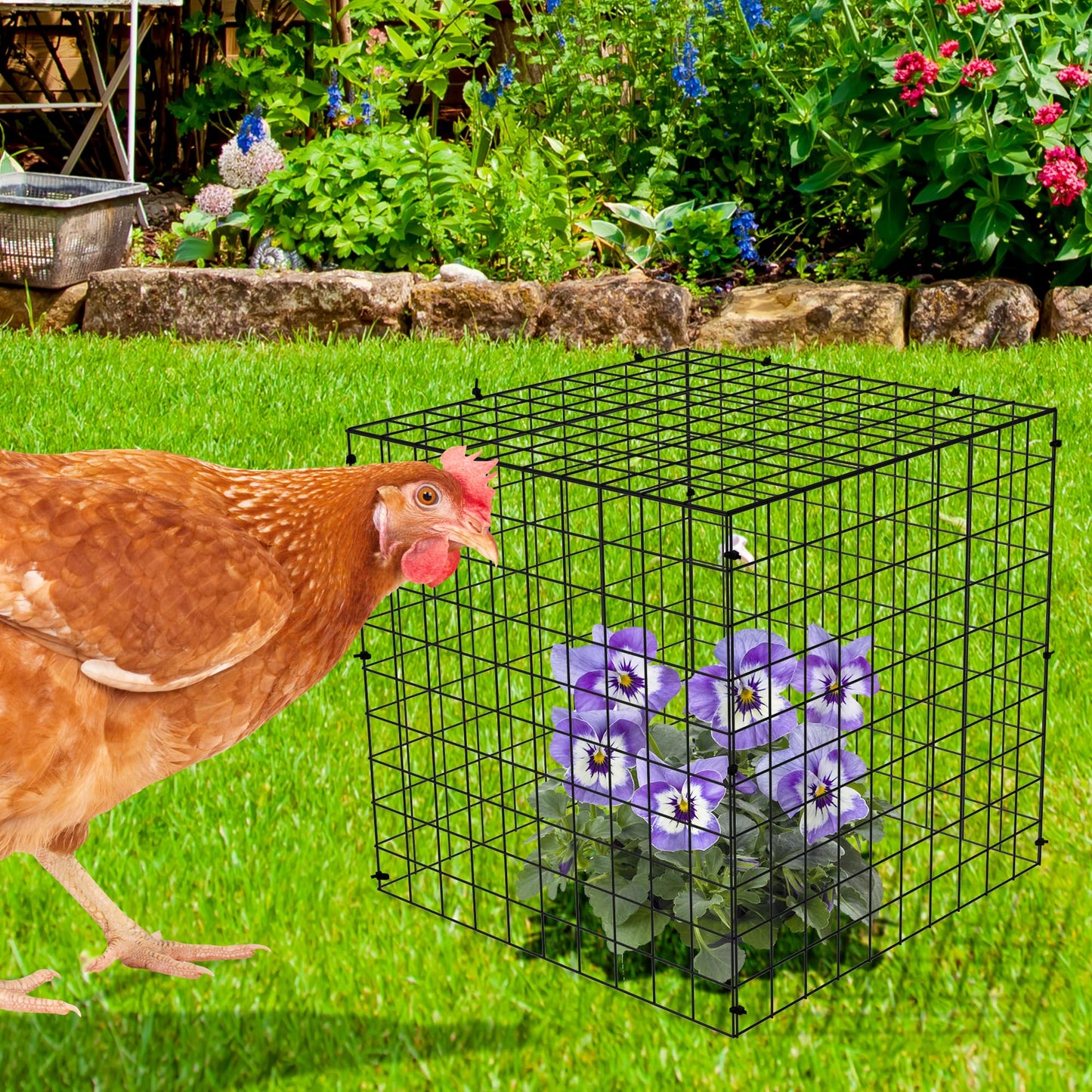Adnee 7 Pack Wire Plant Protector with Cover-12x12x12 Inch Detachable Square Wire Cages to Prevent Animals-Metal Garden Plant Protector Cages for Protecting Plants Vegetables Flowers