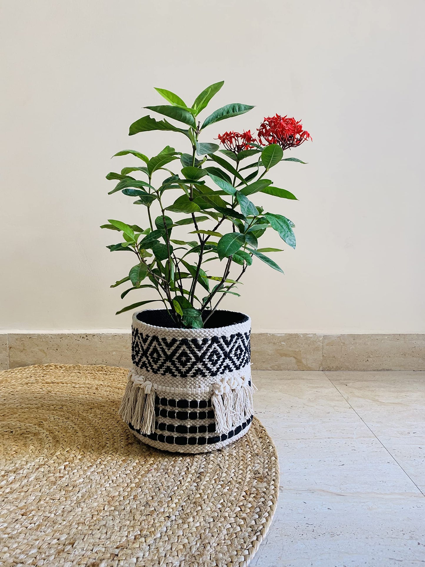NATURE4U Boho Hand Woven Plant Basket Modern Woven Basket for 4-6.5" Flower Pot Floor Indoor Planters, Storage Organizer Rustic Home Decor, Black and White with Tassels 9” x 9"