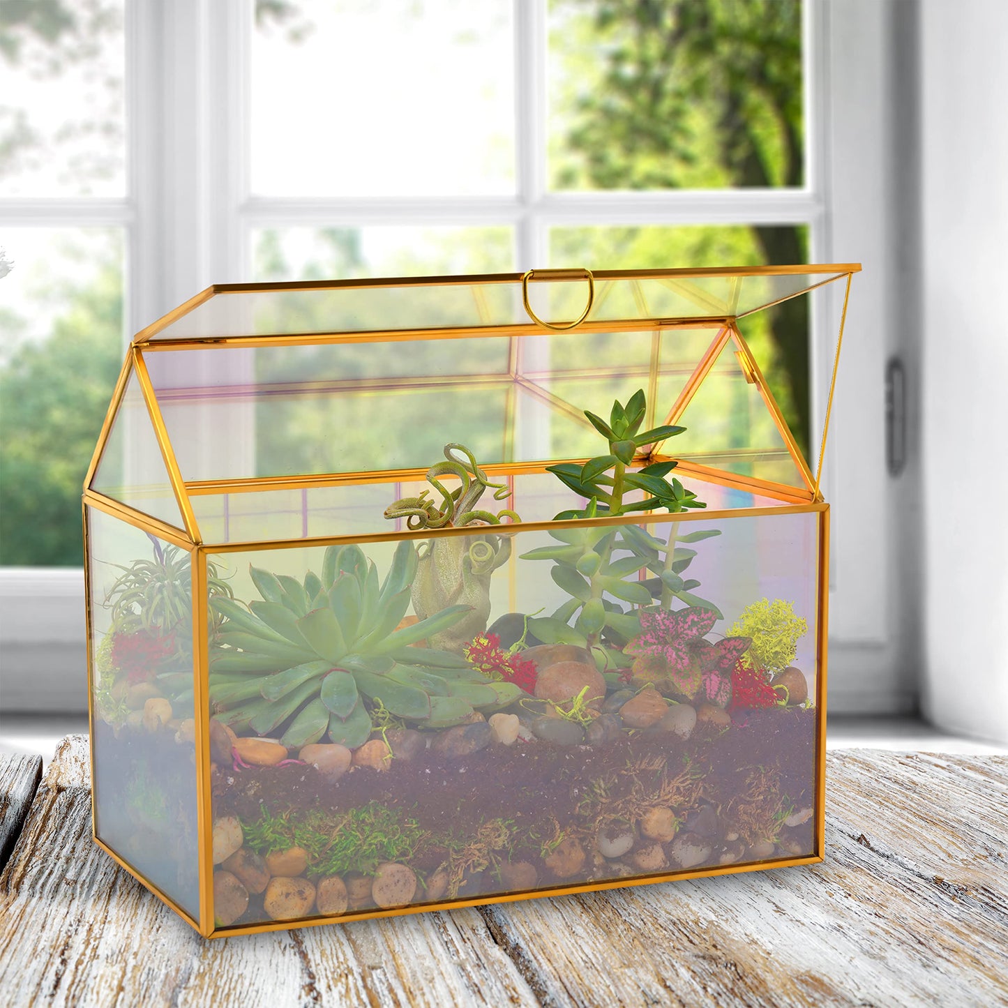 D'Eco Iridescent Glass House Centerpiece (10x6x8)- Planter Terrarium- Spring Home Decor & Wedding Letterbox - Fill with Succulents, Cacti, Air Plants, Moss, Flowers for Plant Lovers
