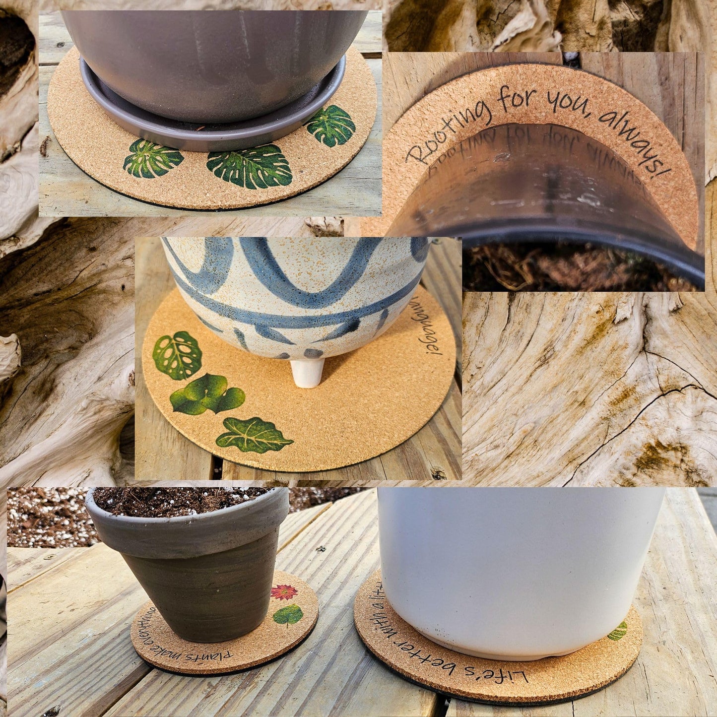 Plant Coaster Set of 6 β Cork & Plastic Coasters for Houseplants β 8", 6", & 4" Sizes β UV Printed with Cute Plant Sayings β Protects Surfaces from Moisture & Scratches