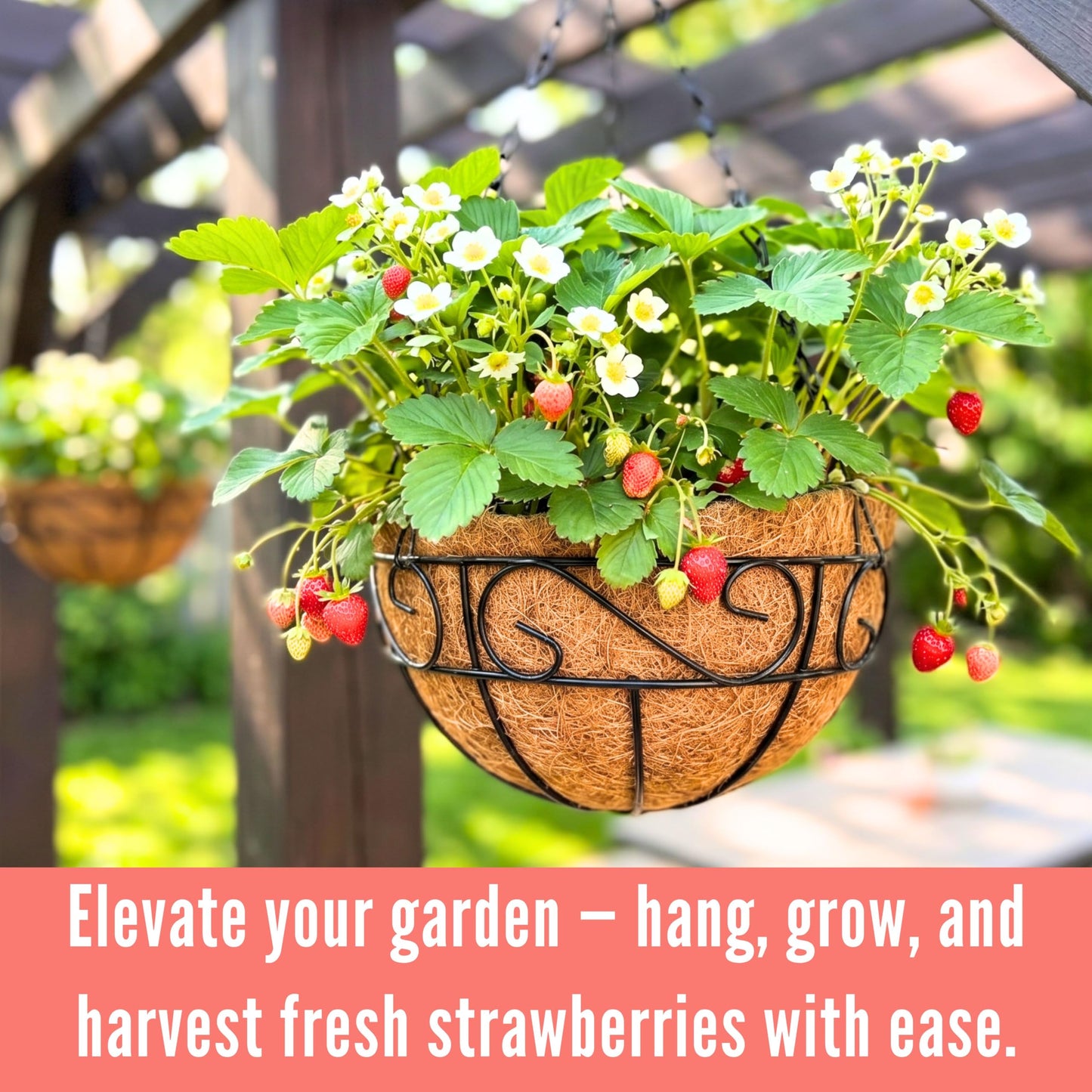 LaLaGreen Hanging Planter for Outdoor Plants (20 Inch, 2 Pack) Hanging Baskets with Coco Liner, Black Metal Wire Flower Basket Pots with Hook Hanger Balcony Porch Farmhouse Country Style Garden Decor