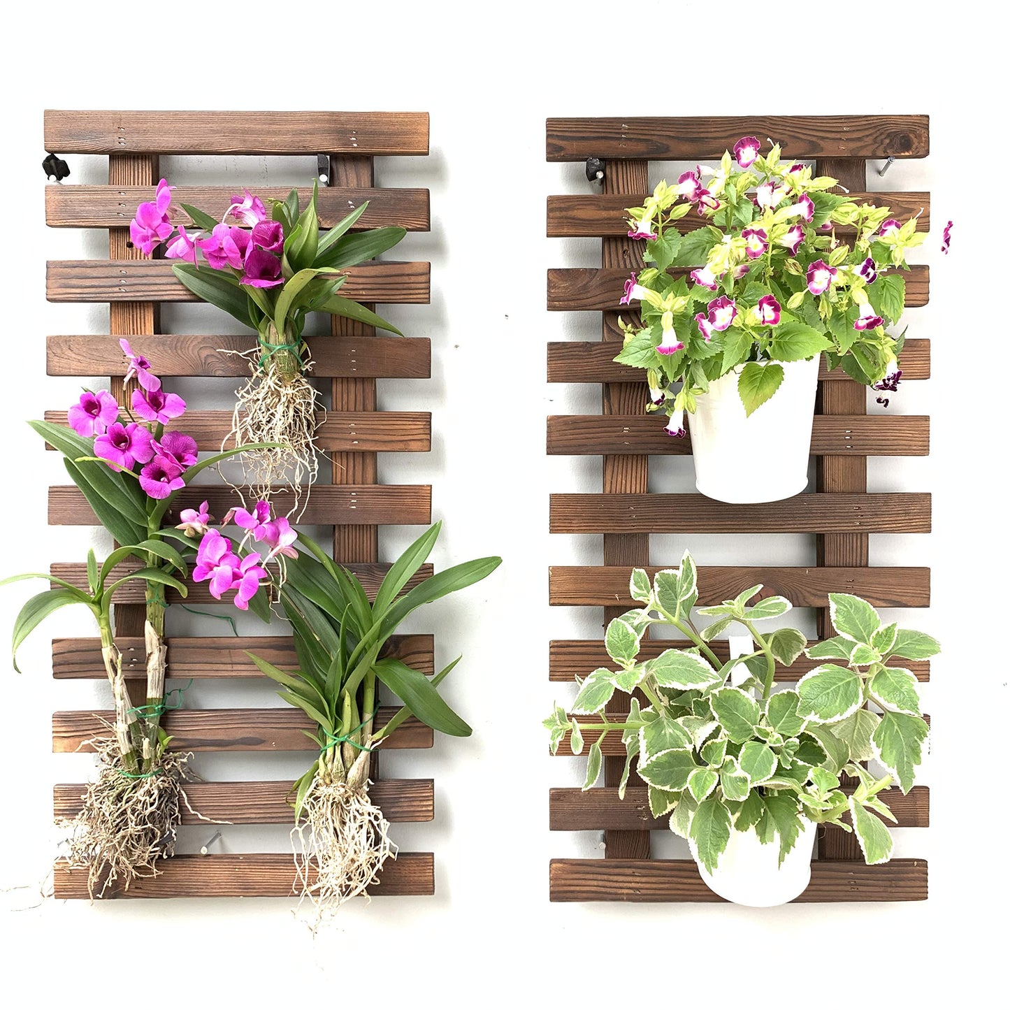 LalaGreen Bundle - 4" Pot + 2 Wooden Plant Holder, Black Self Watering Pot, Wall Hanging Planters for Indoor Plants Ladder, Wall Hanging Pots, Outdoor Vertical Garden Unique Live Orchid Planter Holder