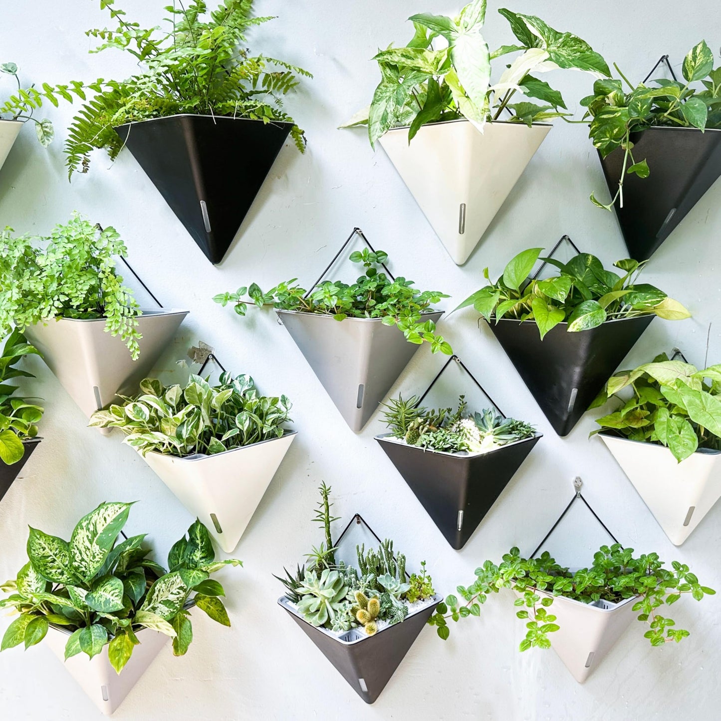 LaLaGreen Wall Planters for Indoor Plants - 2 Pack, 12 Inch Large Self Watering Black Geometric Hanging Flower Vase Vessel with Metal Hanger, Modern Stylish Wall Mounted Succulent Pot Holder Decor