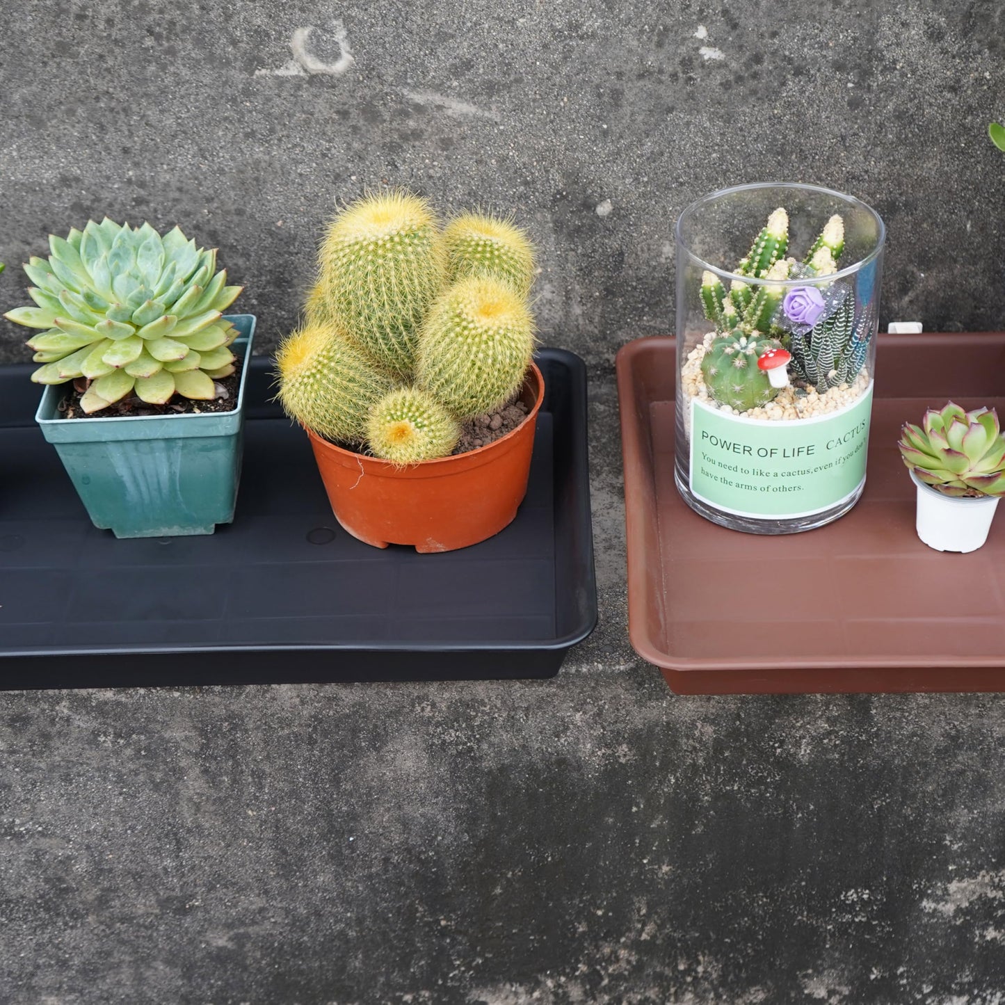 VUWEZ Plant Saucer Growing Tray, Seed Starter Tray Rectangular, Heavy Sturdy Plastic Plant Drainage Saucers, Plant Drip Trays for Pots, Seed Starter Growing Trays (11 x 9 inch, 2 Pack)