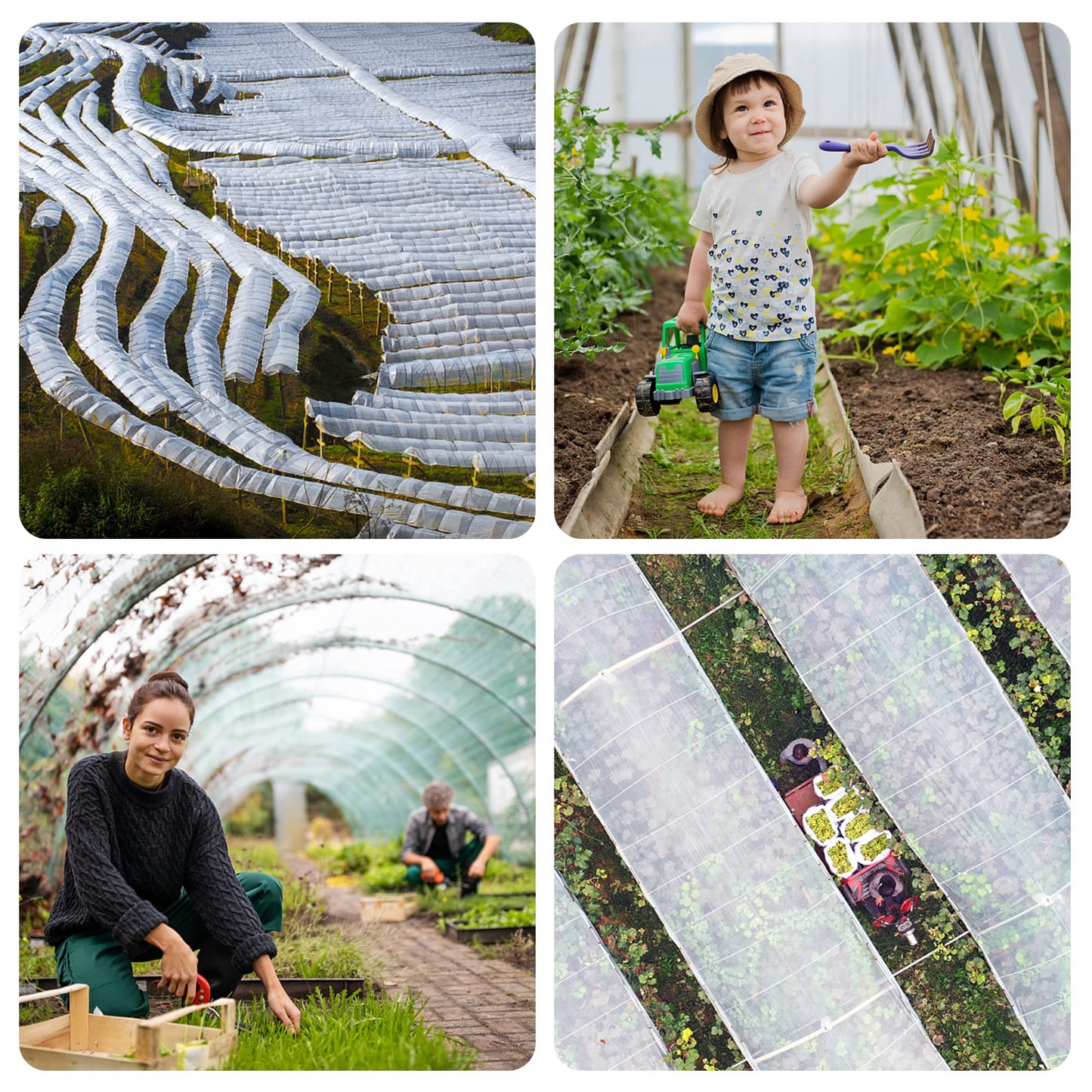 Alpurple Insect Bird Barrier Netting Mesh- 20 x 10 Feet Garden Bug Netting Plant Cover for Protect Plant Fruits Flower from Insect Bird Eating