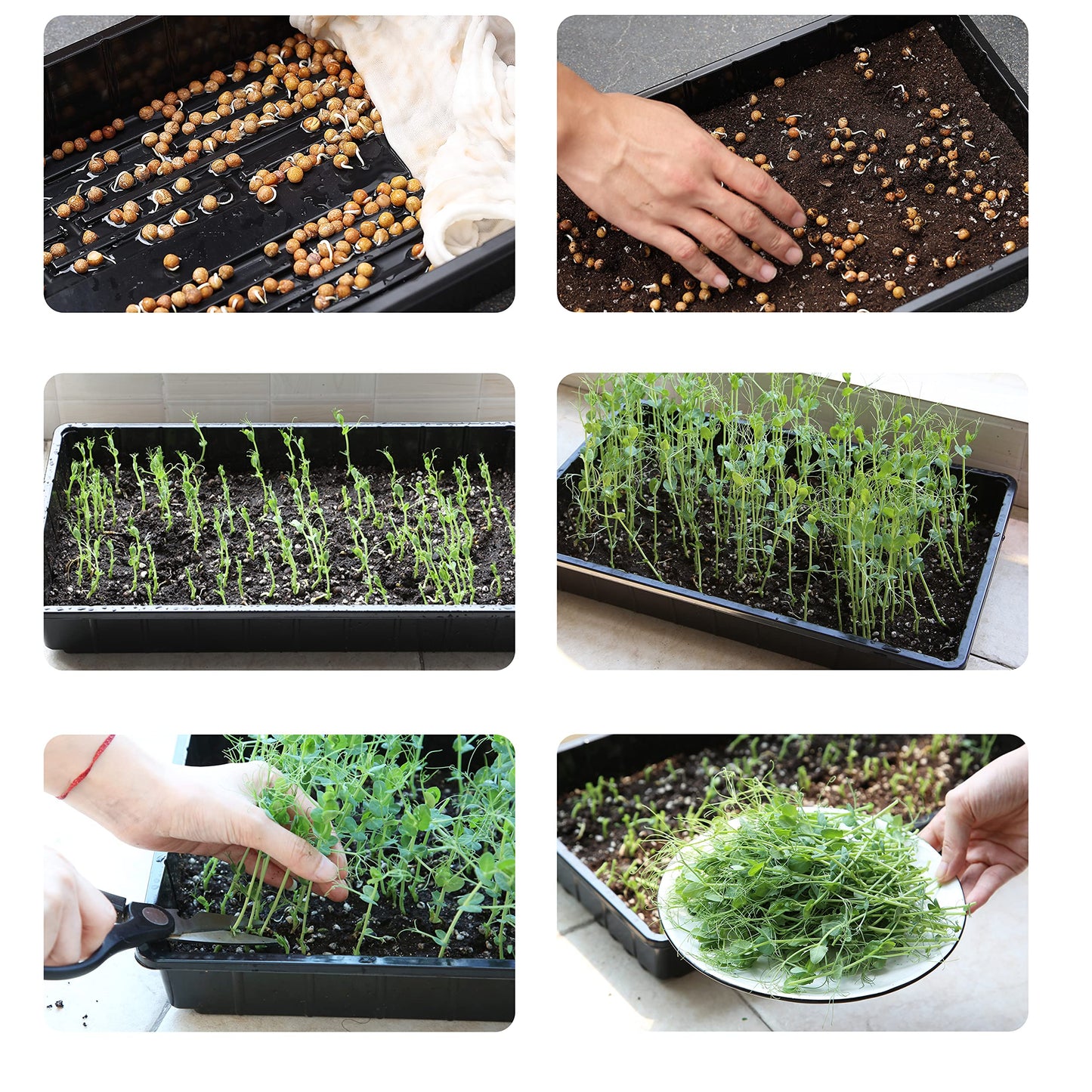 Mr. Pen- Seed Starter Trays, 5 Pack, 17"x10"x2.4", Durable Plastic Growing Trays, Stackable and Reusable Seedling Starter Kits for Indoor, Outdoor, Greenhouse Gardening, Planting, Hydroponic Systems