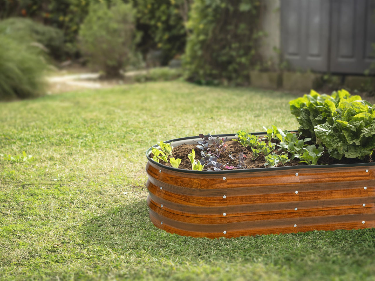 Plant & Plot Galvanized Raised Garden Beds Outdoor // 4×2×1 ft Planter Raised Beds for Gardening, Vegetables, Flowers // Large Metal Garden Box (Dark Wood Grain)