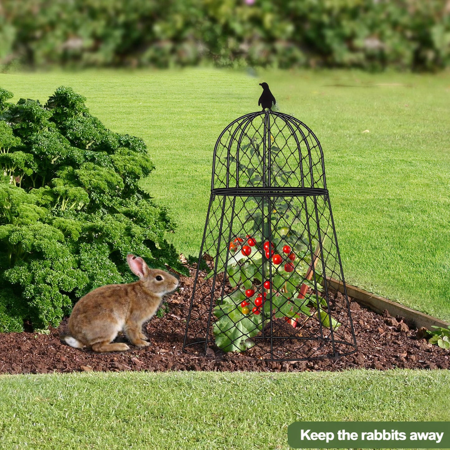 TAOMENNI Garden Cloches for Plants, Chicken Wire Cloche, Plant Cloche and Cages, Wire Plant Protectors from Animals, Protection for Your Plants and Seedlings, Heavy-Duty, 13" D x 20" H, Pack of 6