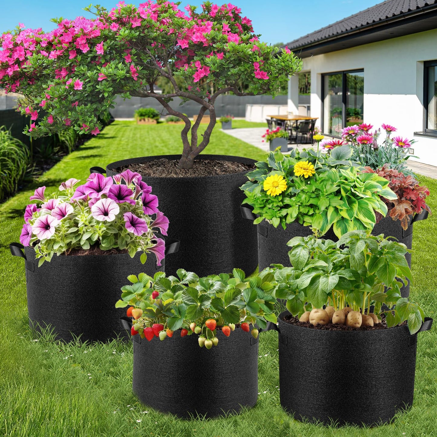 Jorvila 5 Pack 5 Gallon Grow Bags, Thickened Nonwoven Fabric Planter Pots with Handles, Heavy Duty 300G Garden Pots for Tomato, Potato and Vegetable