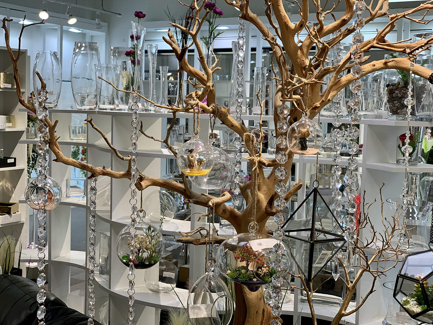WGV Hanging Terrarium Globe, Width 2.5", Height 3", DIY Air Succulent Planter, Clear Glass Vase Orb with Flat Bottom, Candle Holder for Windowsill Outdoor Garden Decor, 12 Pieces Bulk