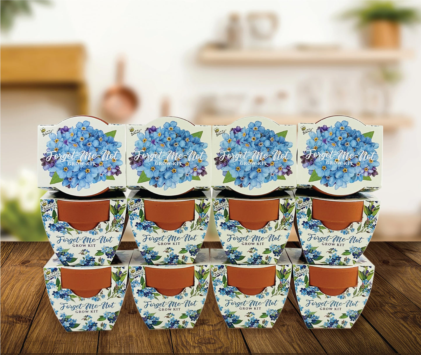 BUZZY Seeds Mini Terracotta Pots 12-Pack Daydream Forget-Me-Not Flowers, All-in-One Seed Starter Kits, Indoor Outdoor Gardening Gift, Wedding Favors, Seeds for Planting Flowers