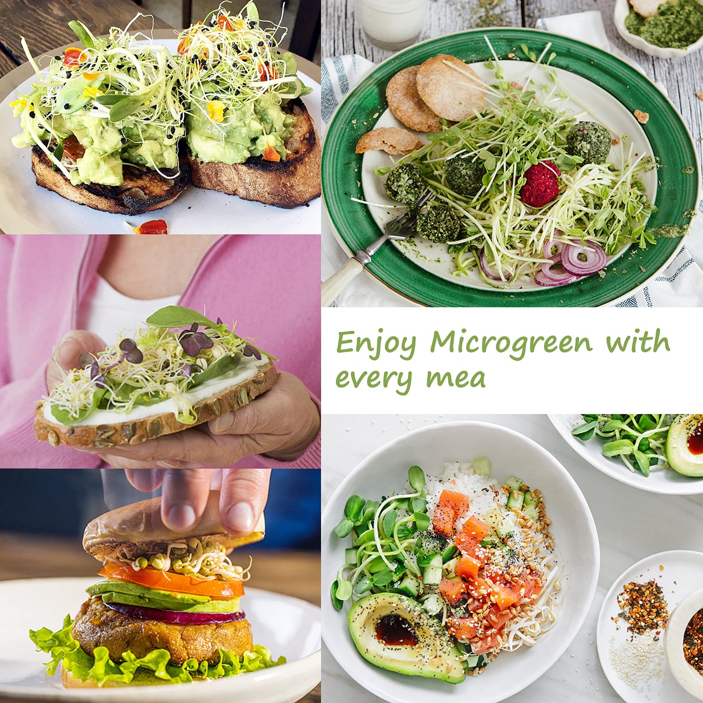 Microgreen Growing Trays, 5" x 5" Sprouting Tray with Humidity Dome, 1.2 mm Small Mesh Holes, BPA Free, Sprouter Kit for Growing Mirco Seeds, Like Broccoli, Alfalfa, Radish, Clover - 4 Pack | Colorful